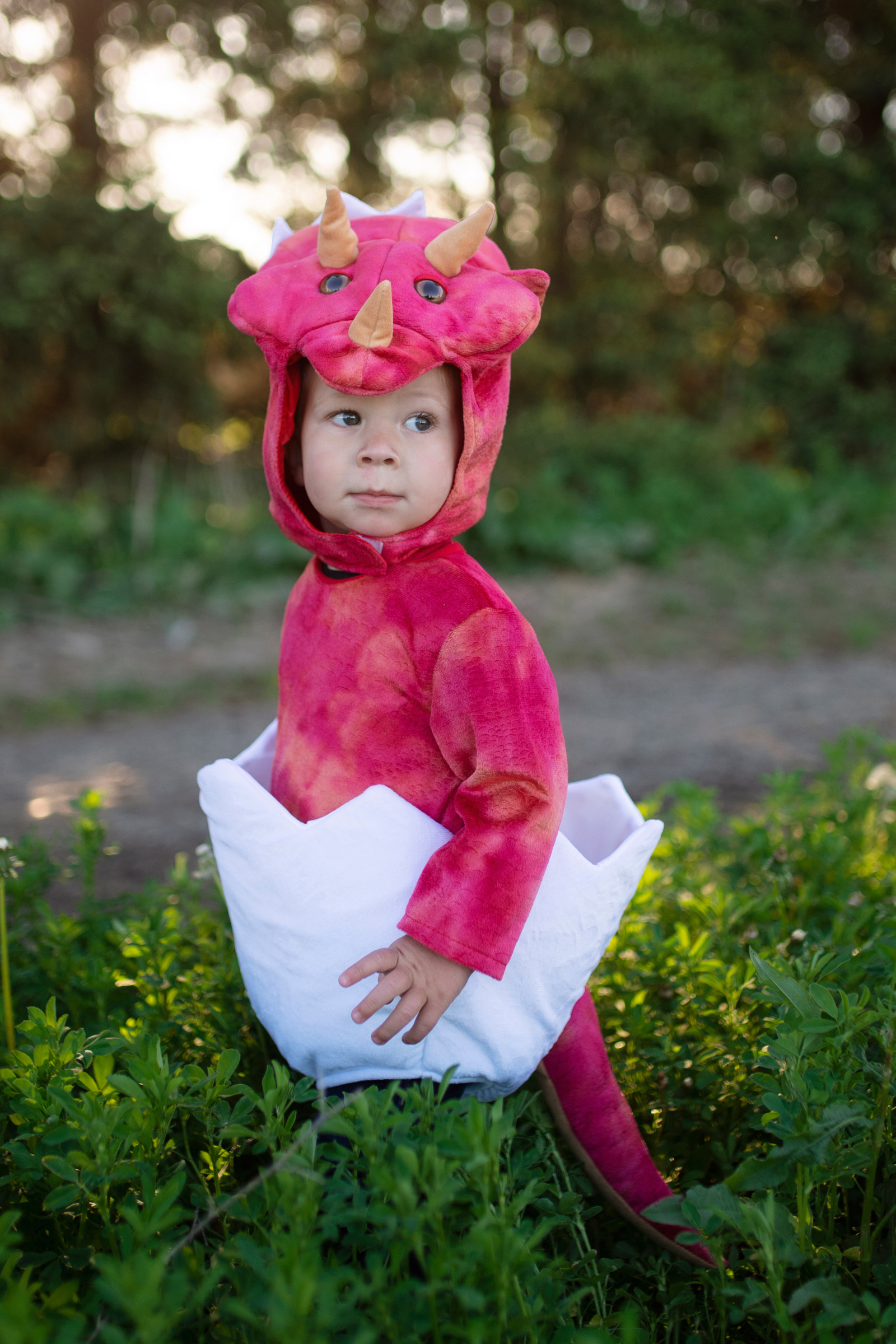 Baby Dino Triceratops Dress with Egg-Tail