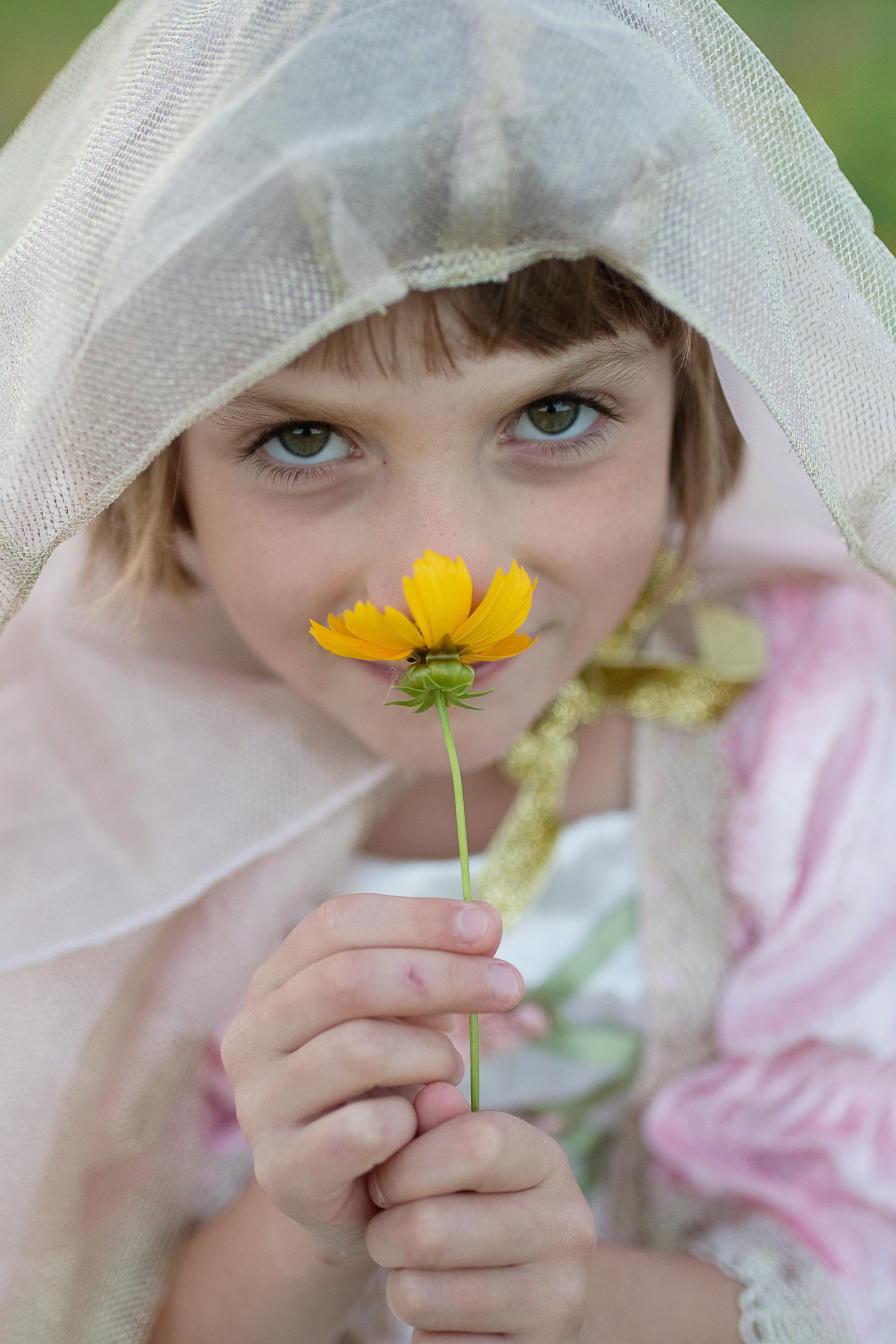 Royal Princess Cape, Pink/Gold