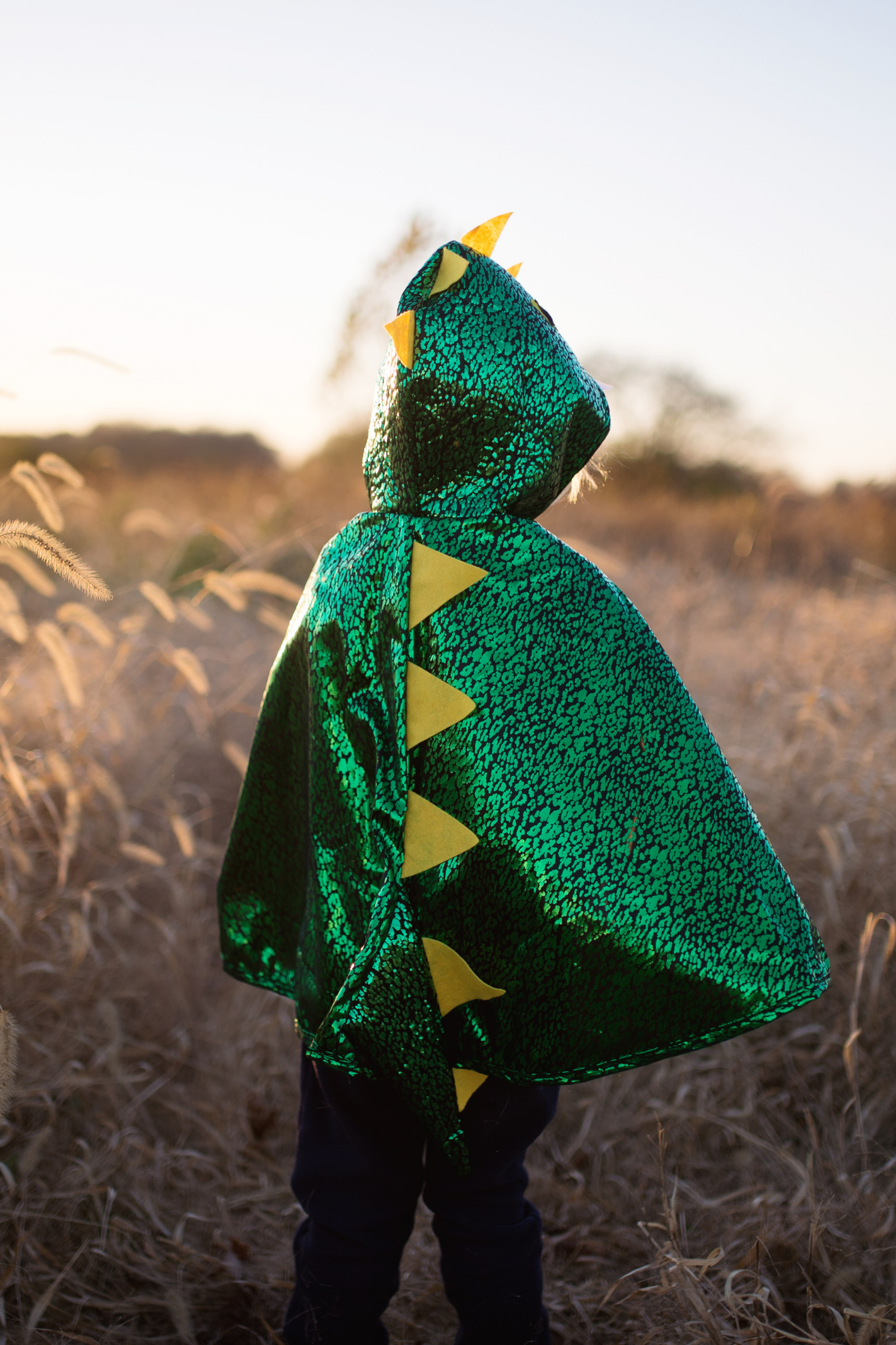 Toddler Dragon Cape, Green
