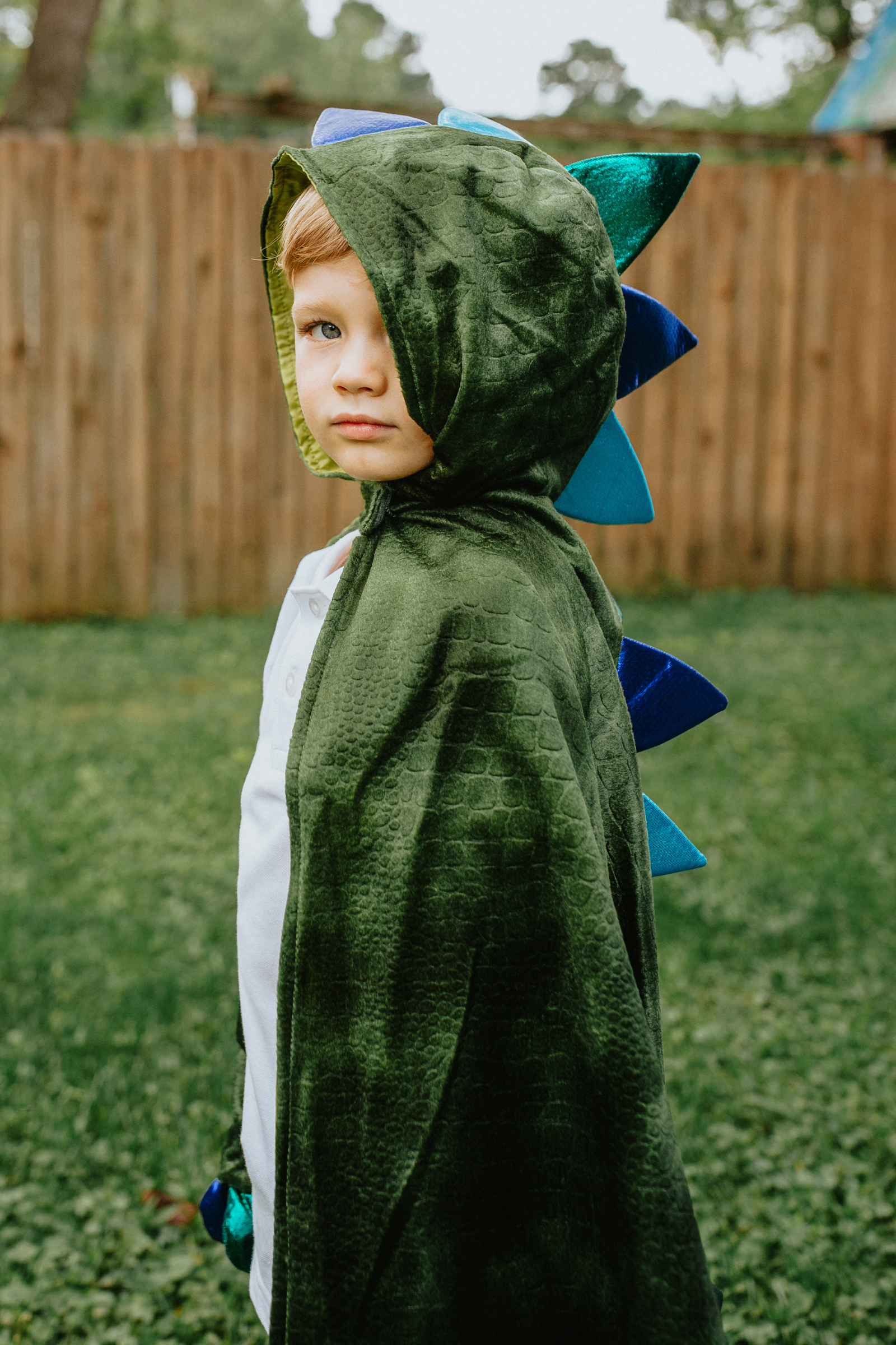 Dragon Cape with Claws, Green