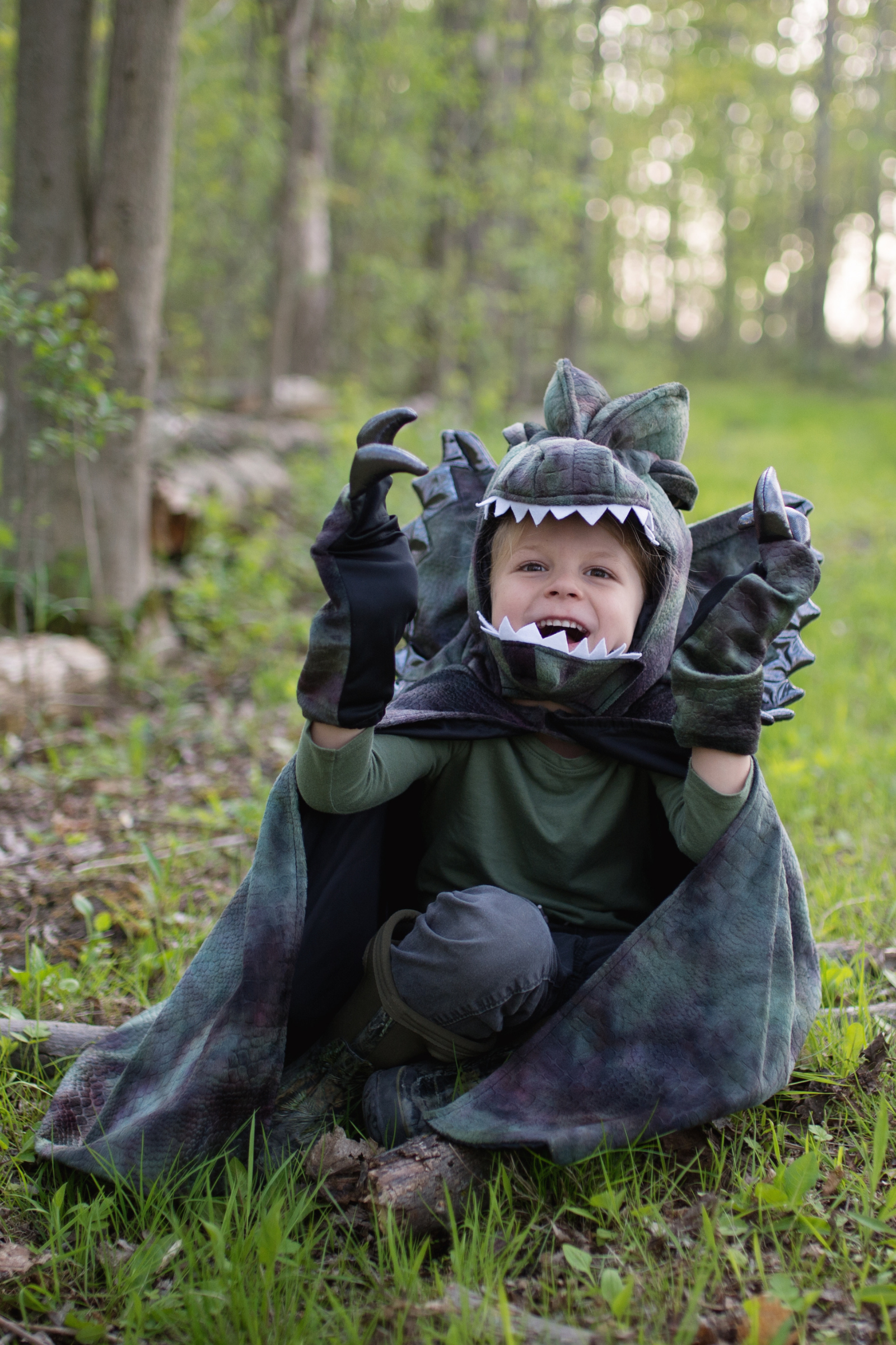 Grandasuarus Dilophosaurus Cape with Claws