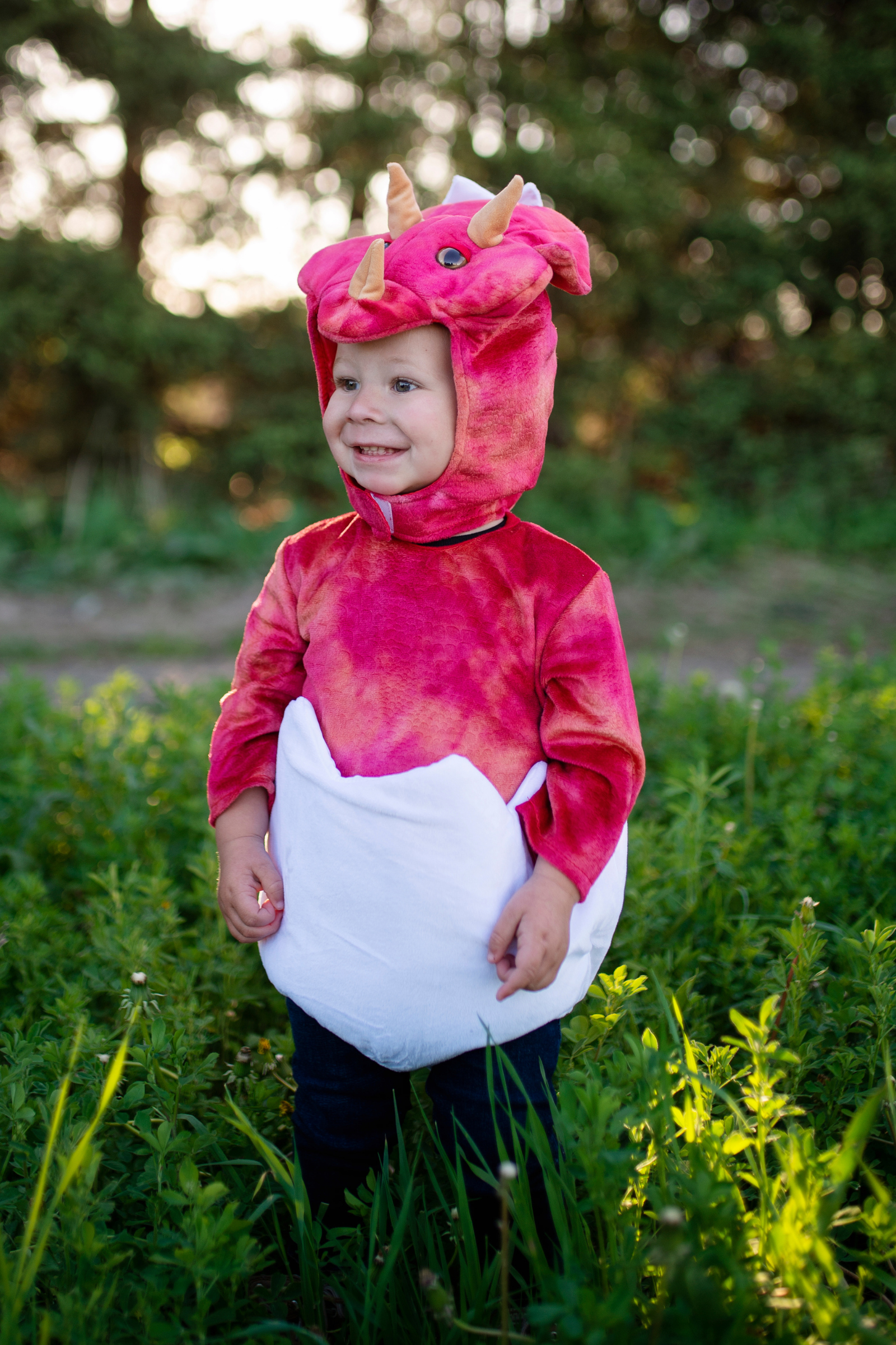 Baby Dino Triceratops Dress with Egg-Tail