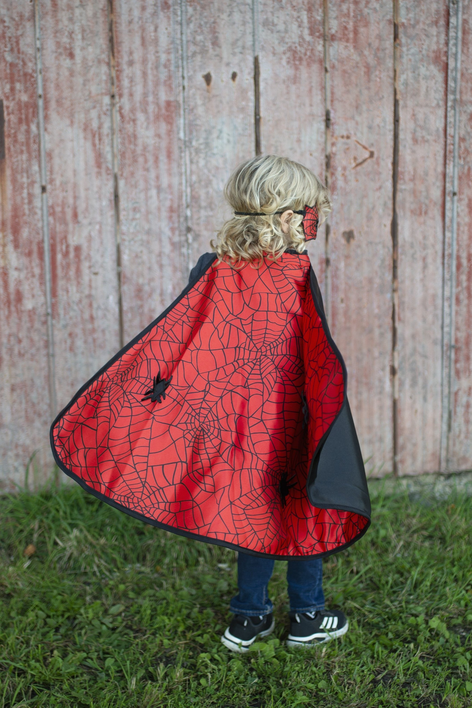 Reversible Spider and Bat Cape with Mask