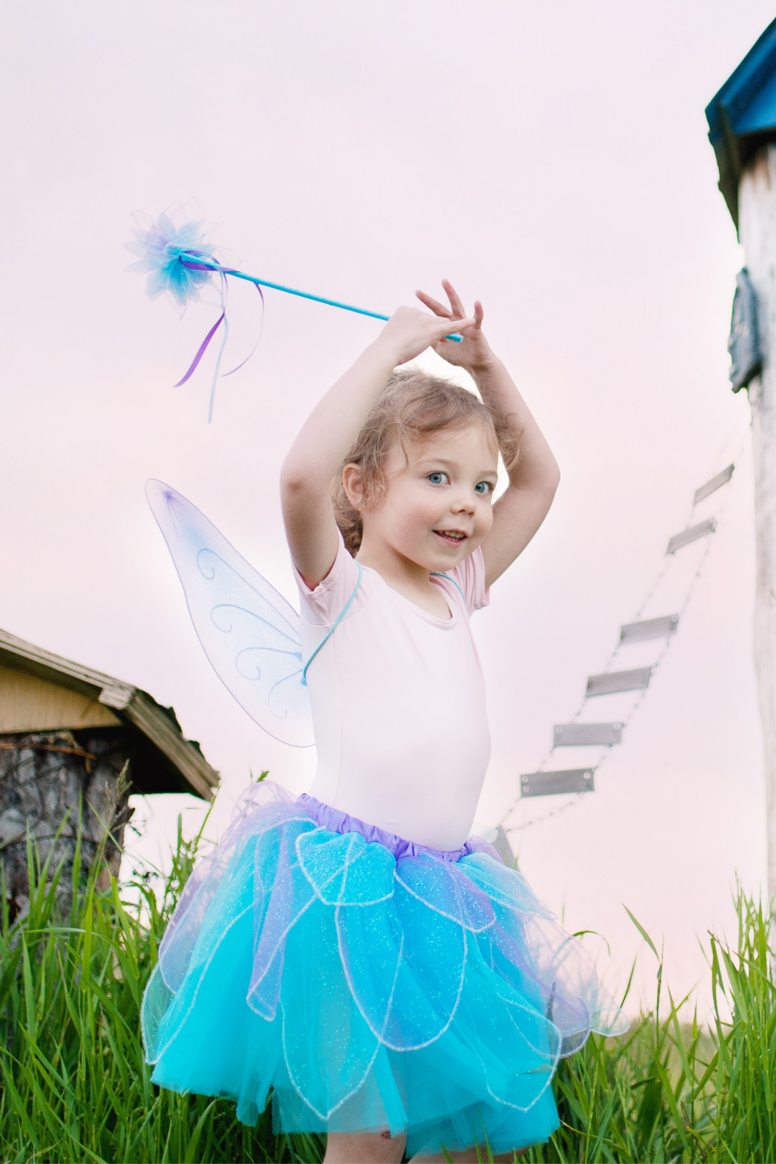 Glitter Skirt with Wings & Wand