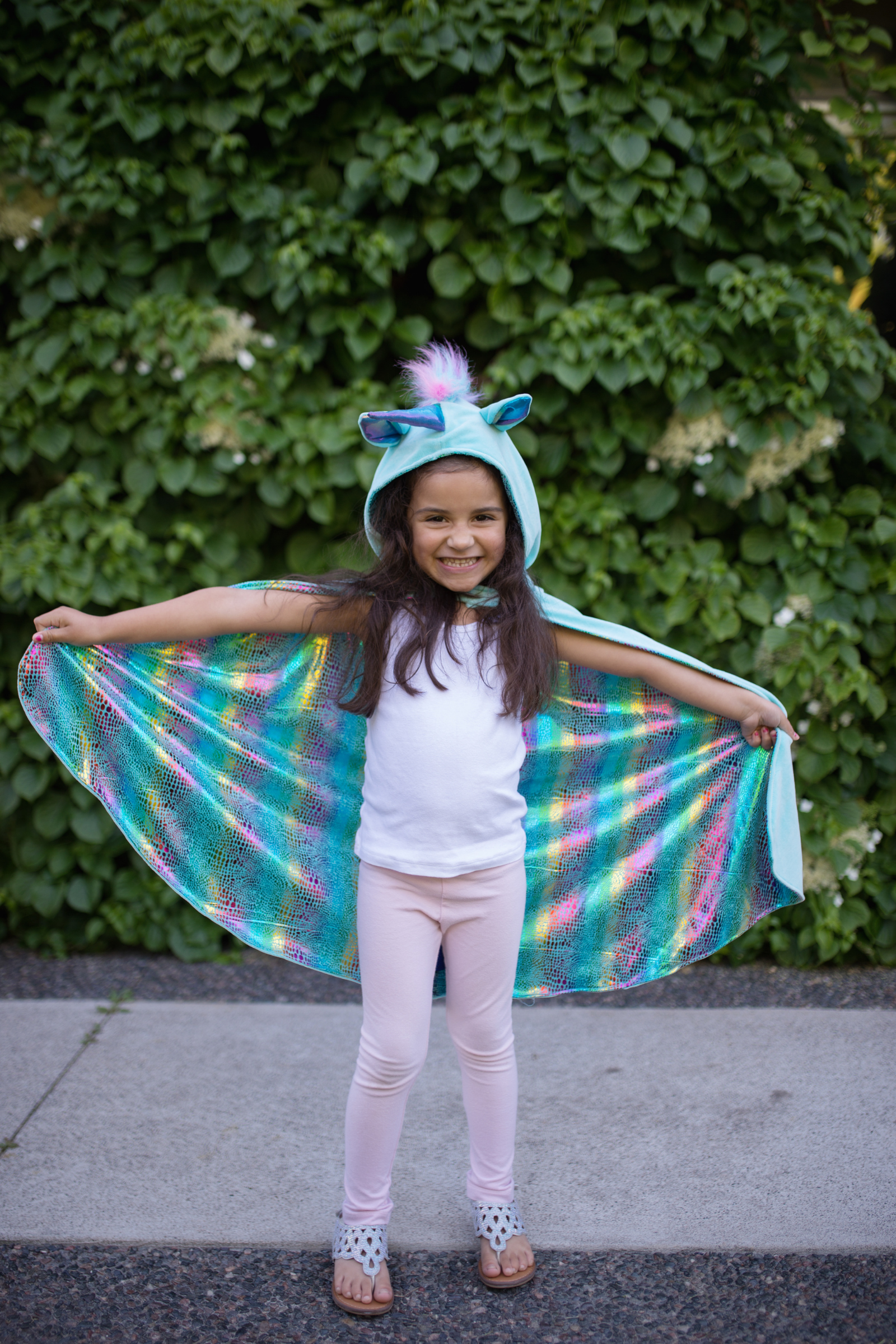 Reversible Unicorn and Dragon Cape