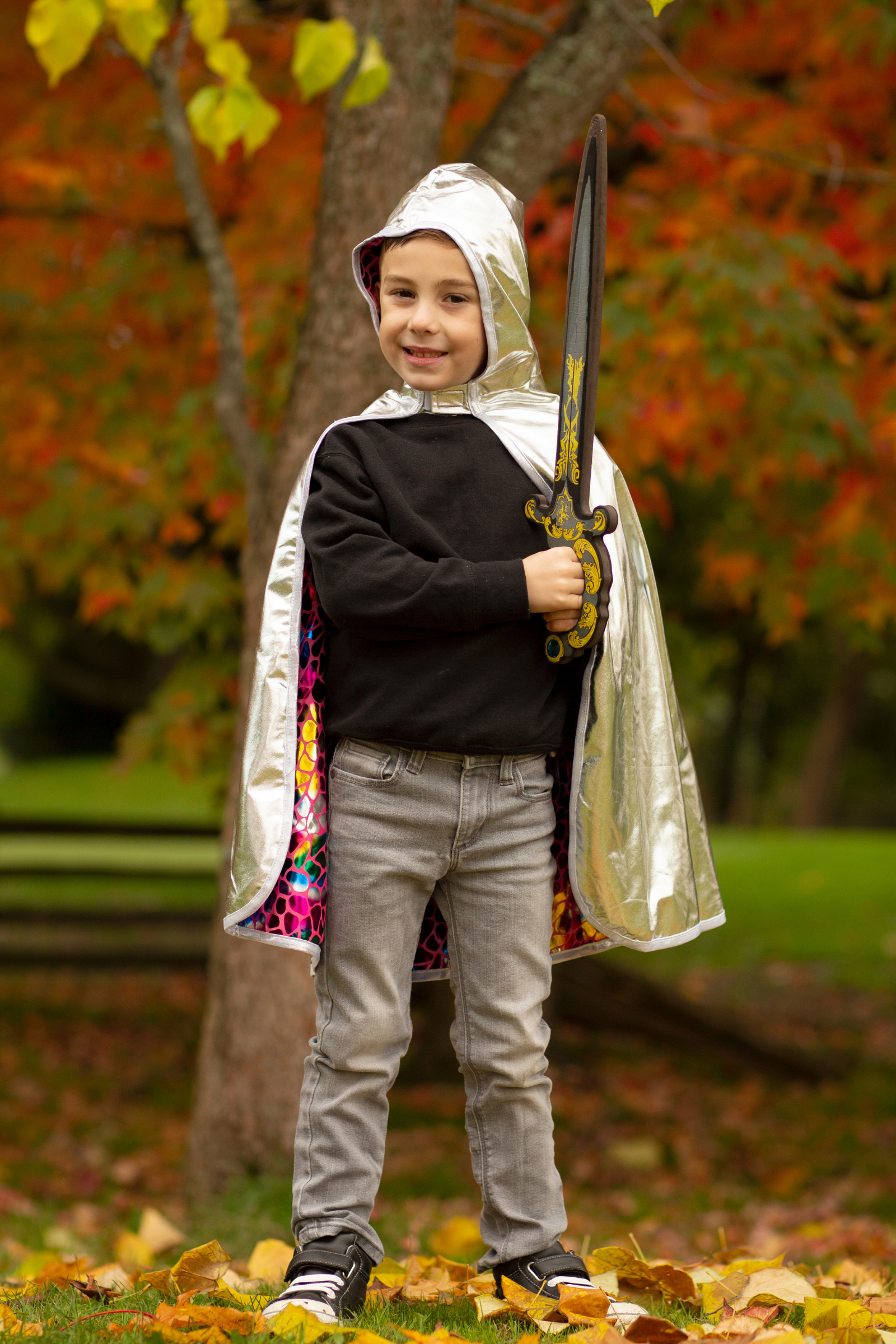 Dragon Knight Cape, Multicolour/Silver