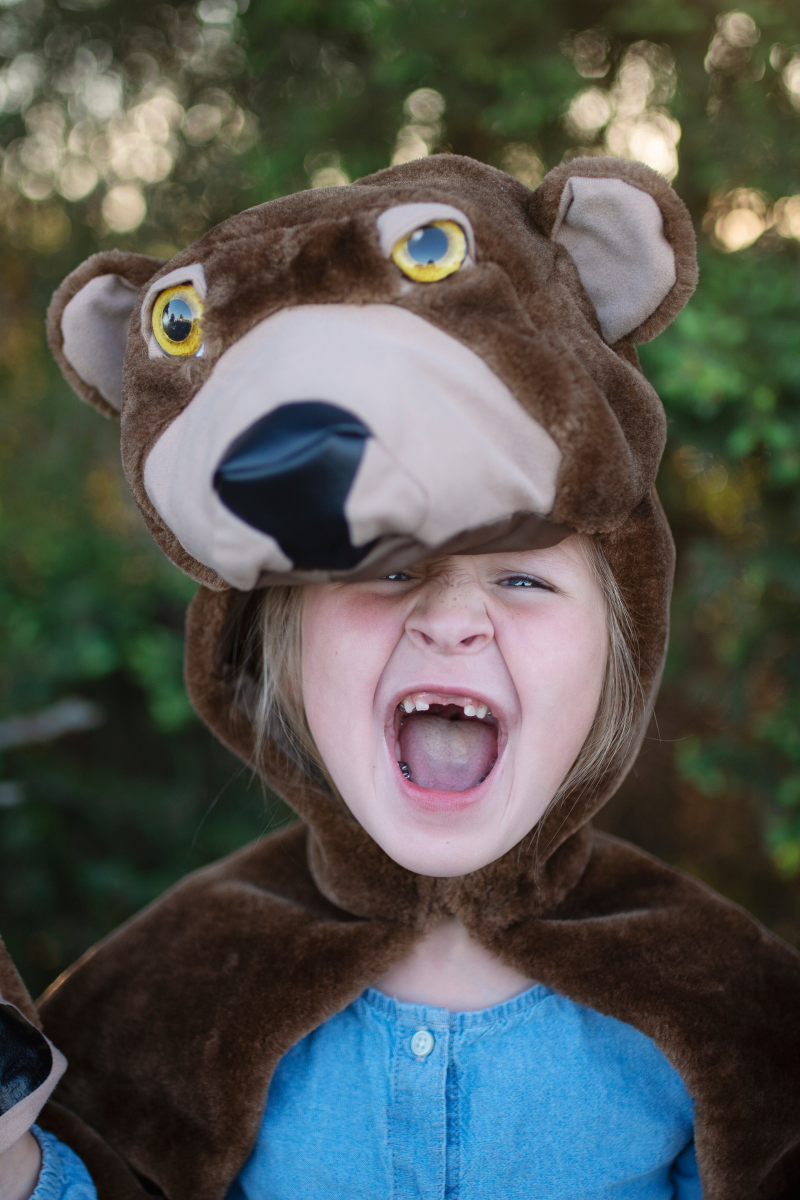 Toddler/ Woodland Storybook Bear Cape