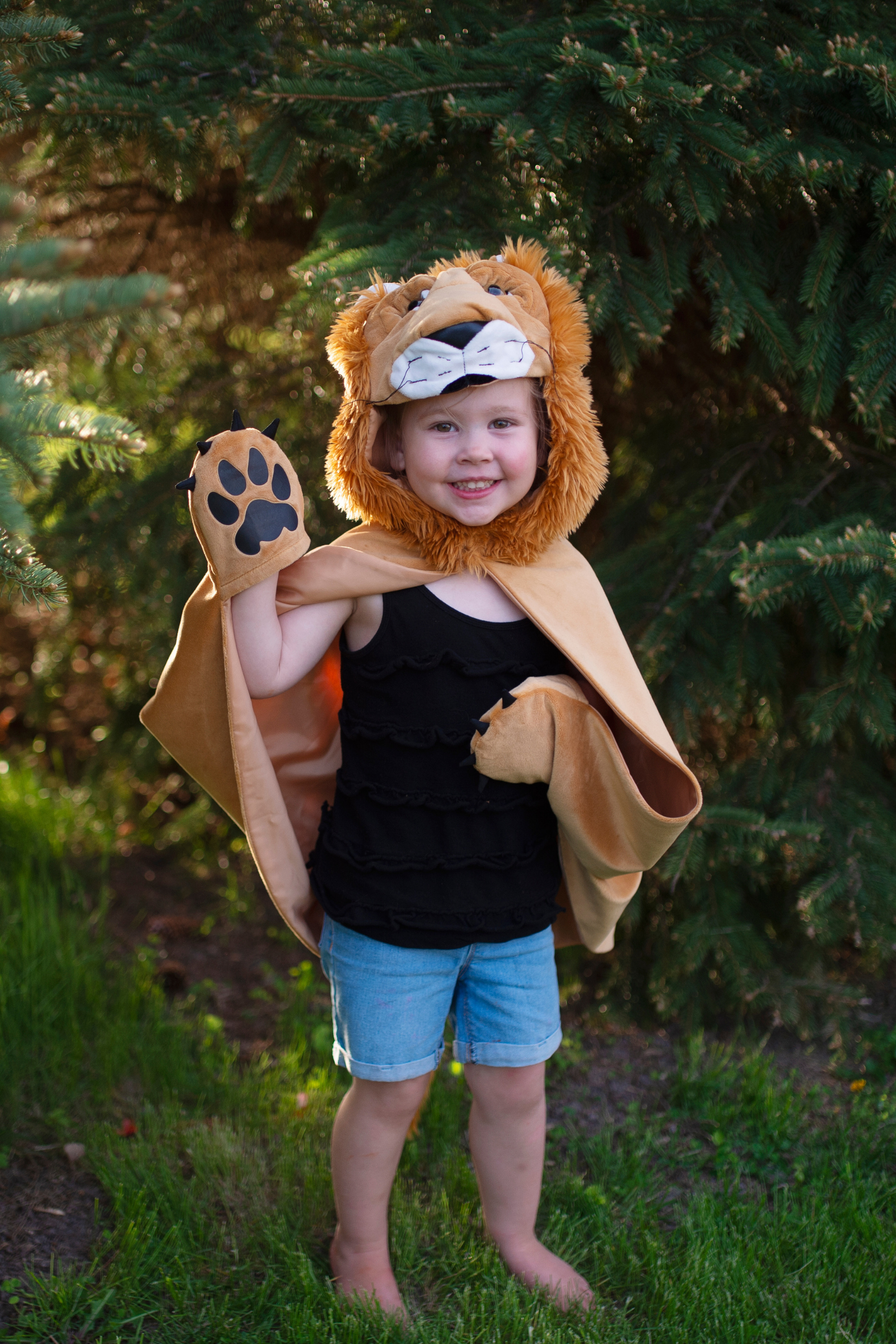Baby/Toddler/ Woodland Storybook Lion Cape