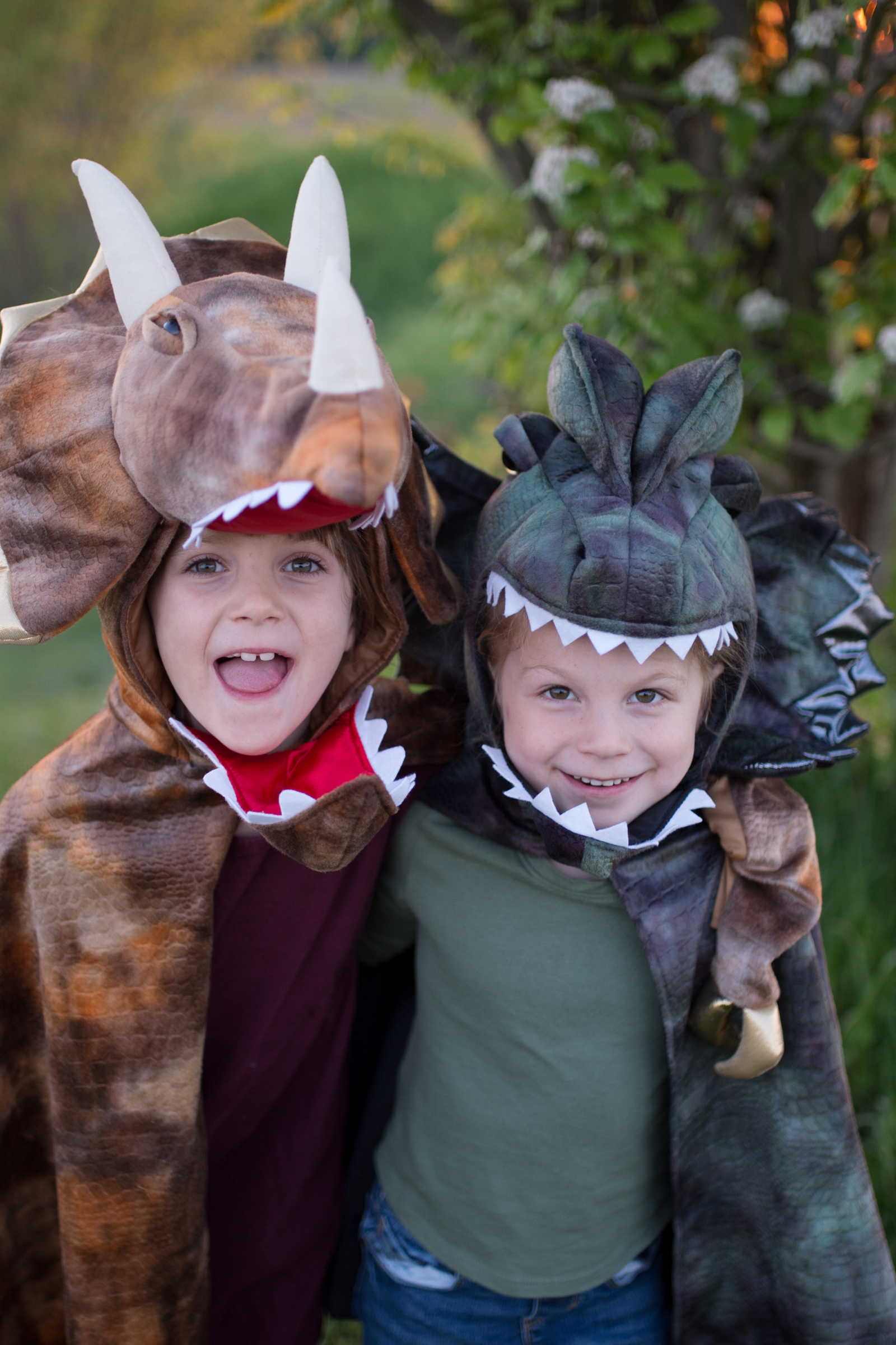 Grandasuarus Dilophosaurus Cape with Claws