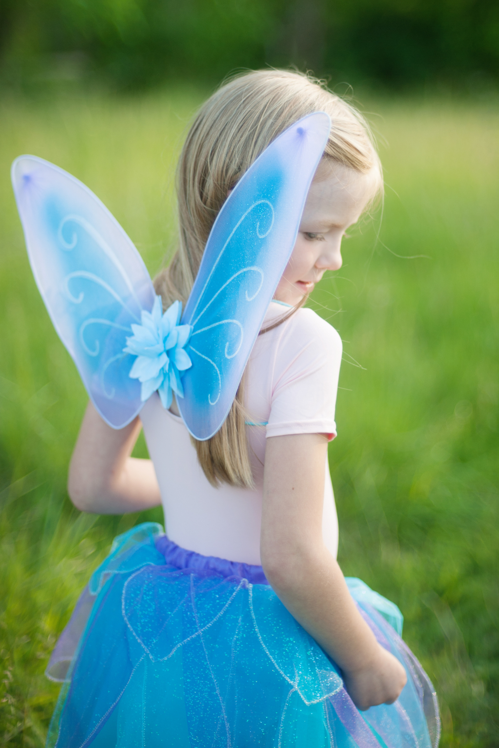Glitter Skirt with Wings & Wand