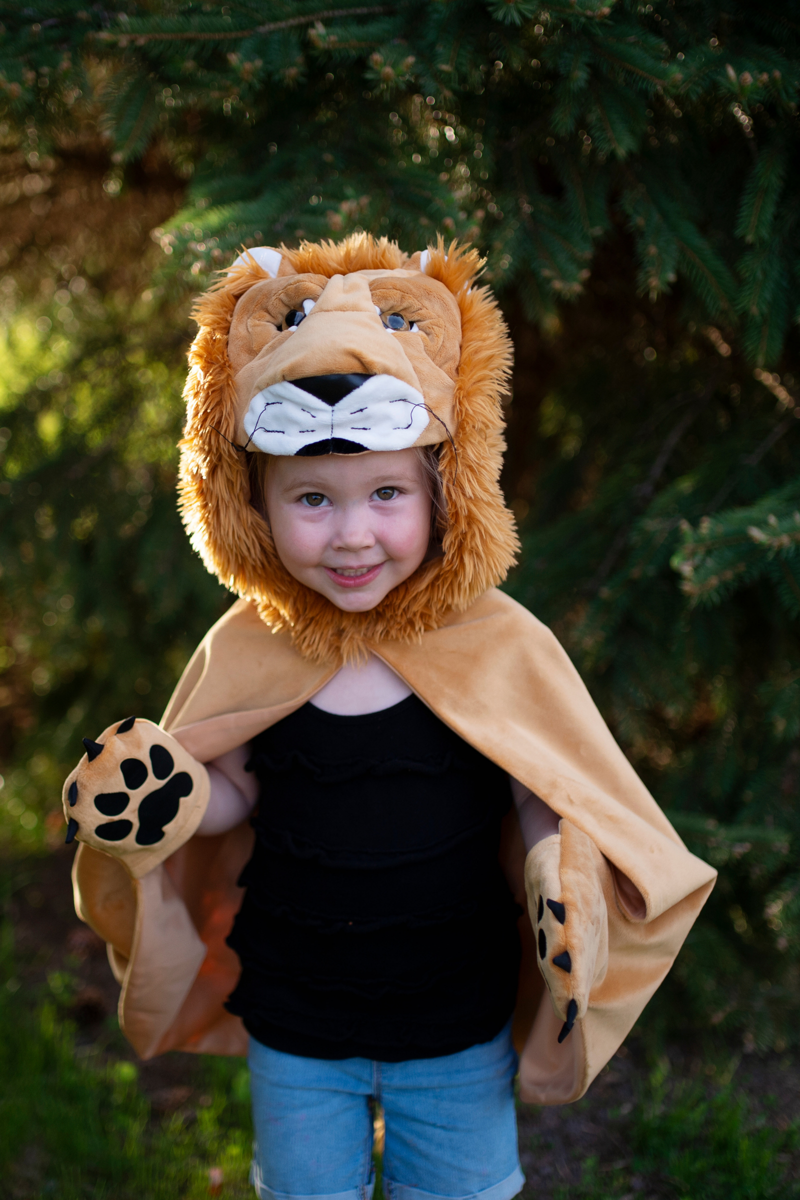 Baby/Toddler/ Woodland Storybook Lion Cape