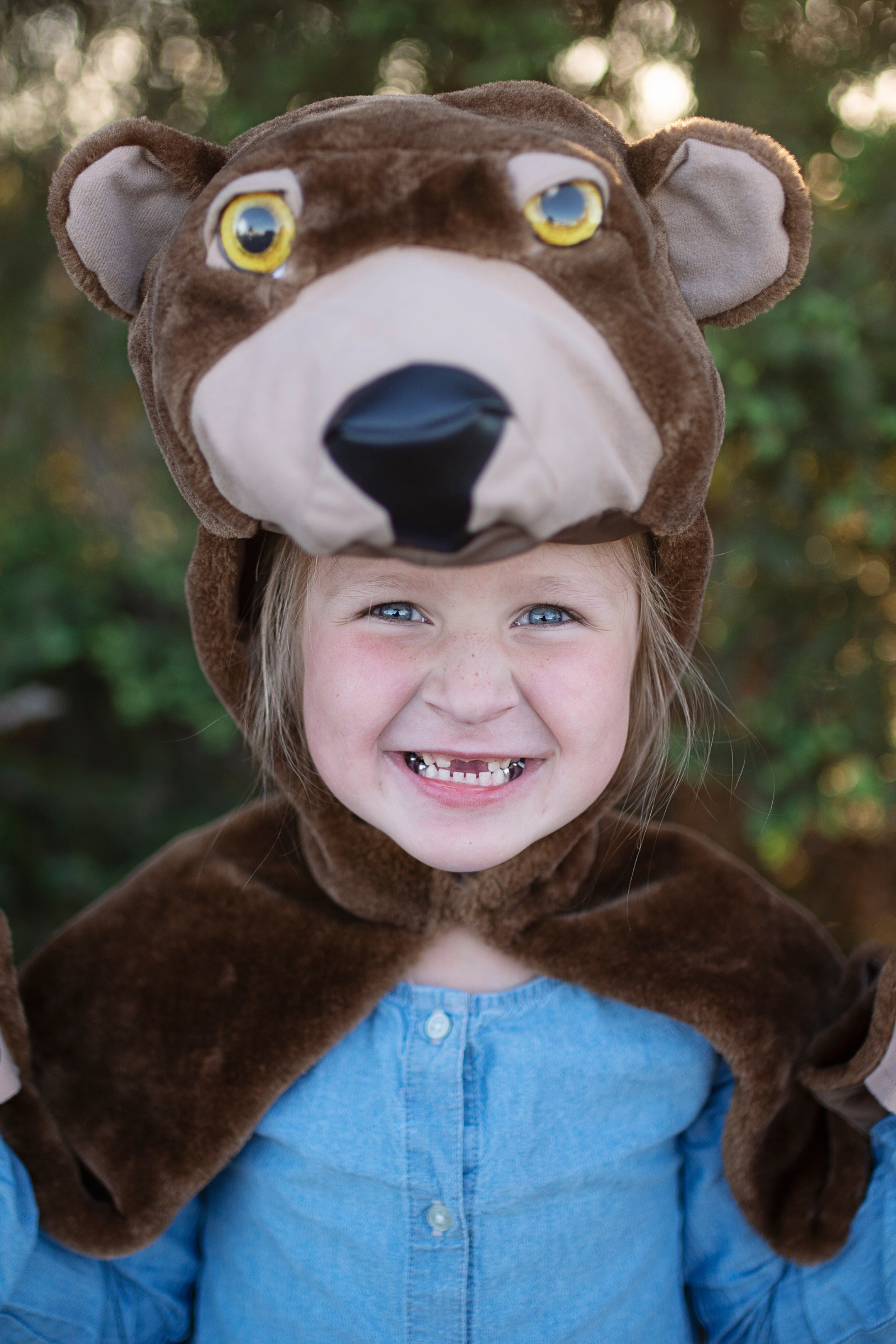 Toddler/ Woodland Storybook Bear Cape