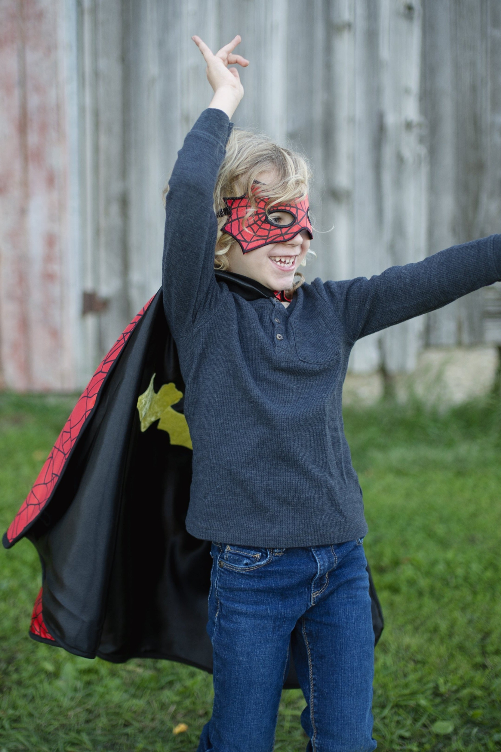 Reversible Spider and Bat Cape with Mask