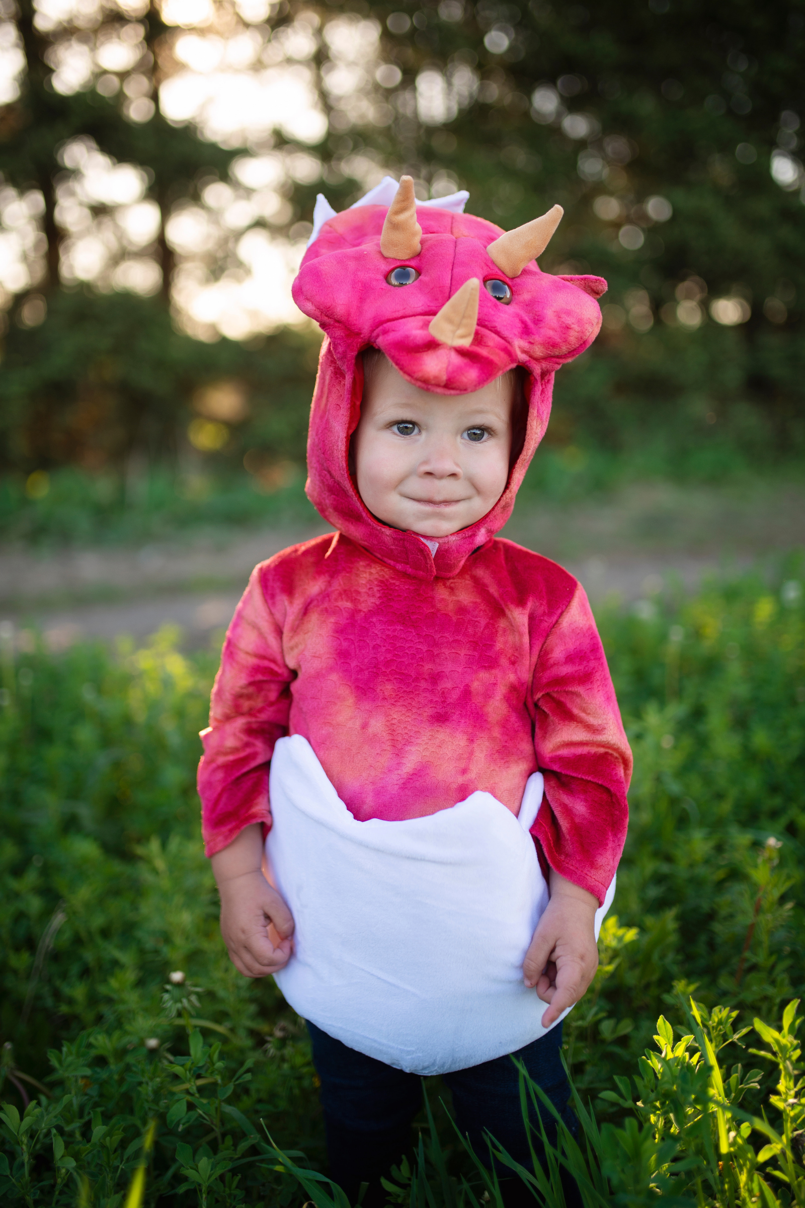Baby Dino Triceratops Dress with Egg-Tail