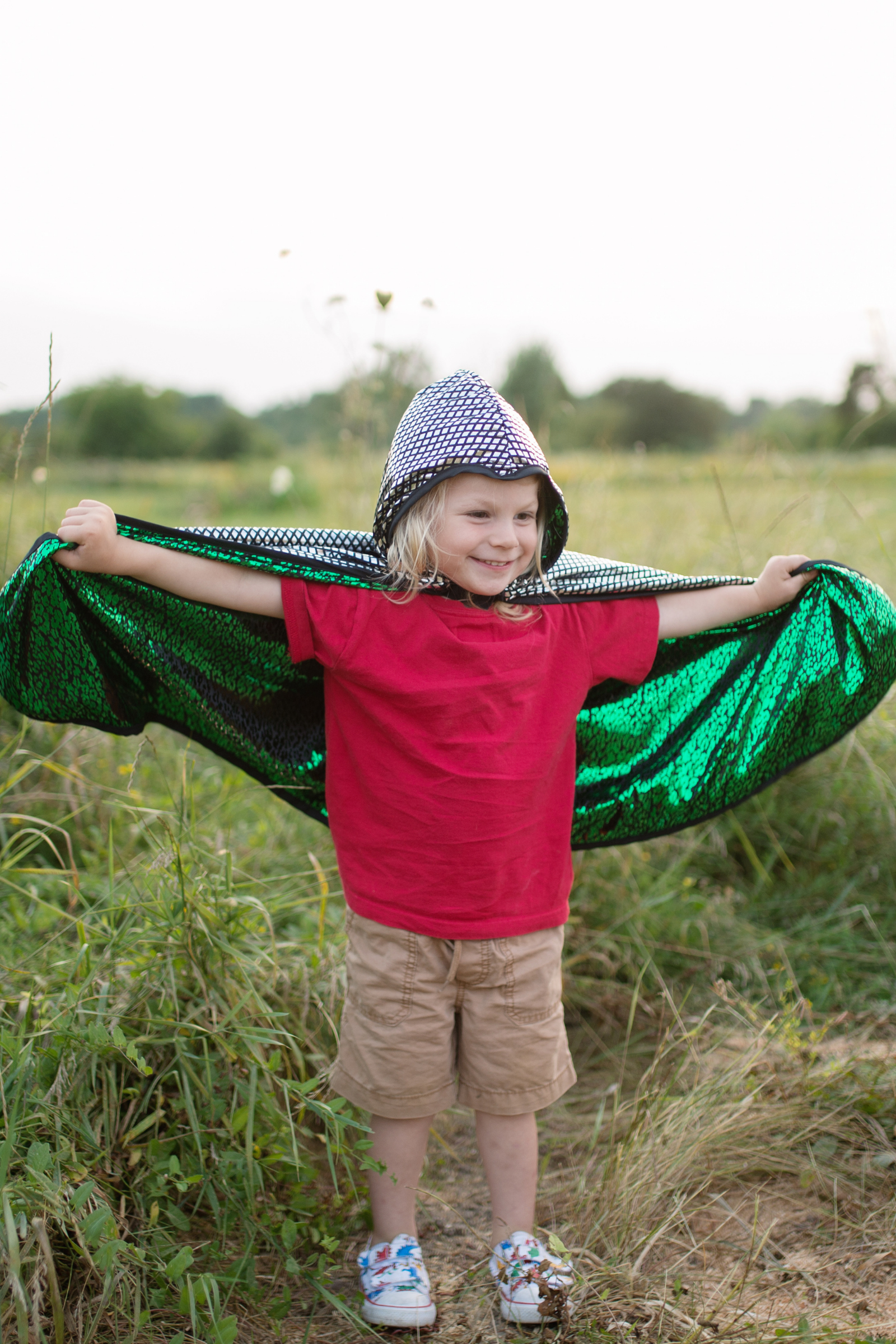 Reversible Dragon and Knight Cape