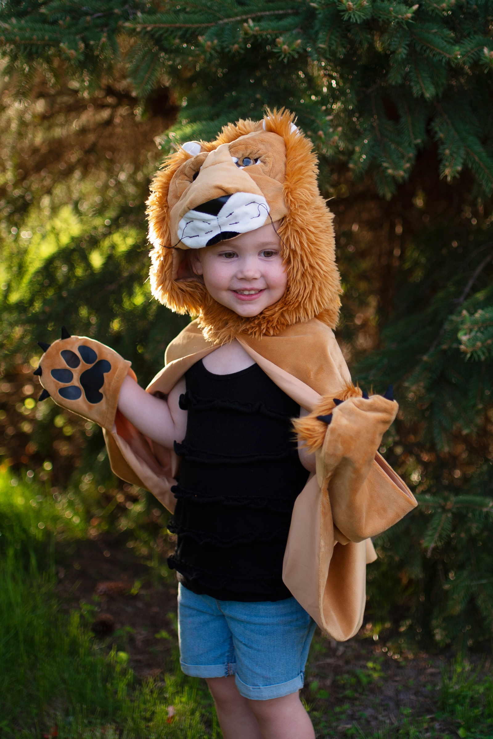 Baby/Toddler/ Woodland Storybook Lion Cape