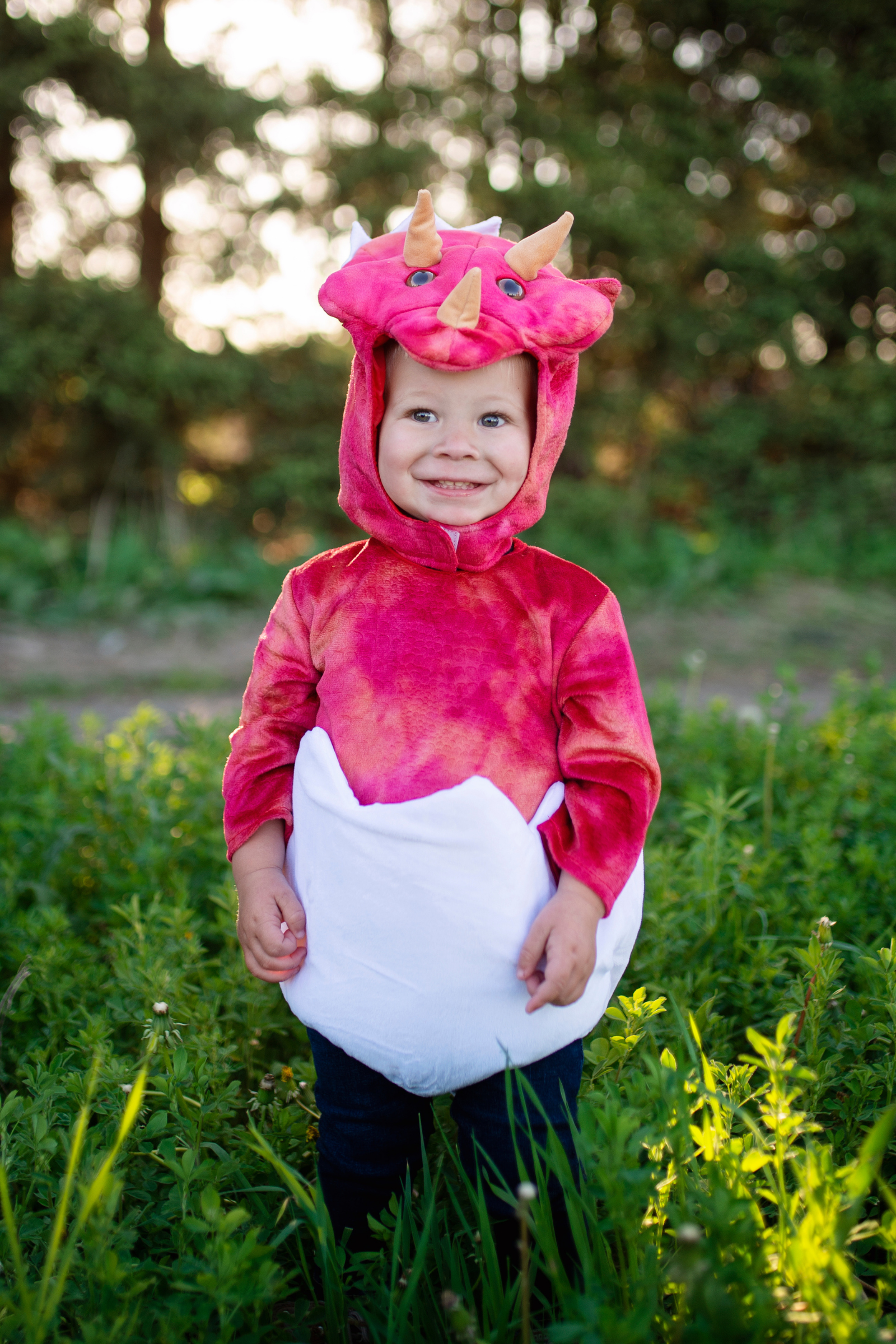 Baby Dino Triceratops Dress with Egg-Tail