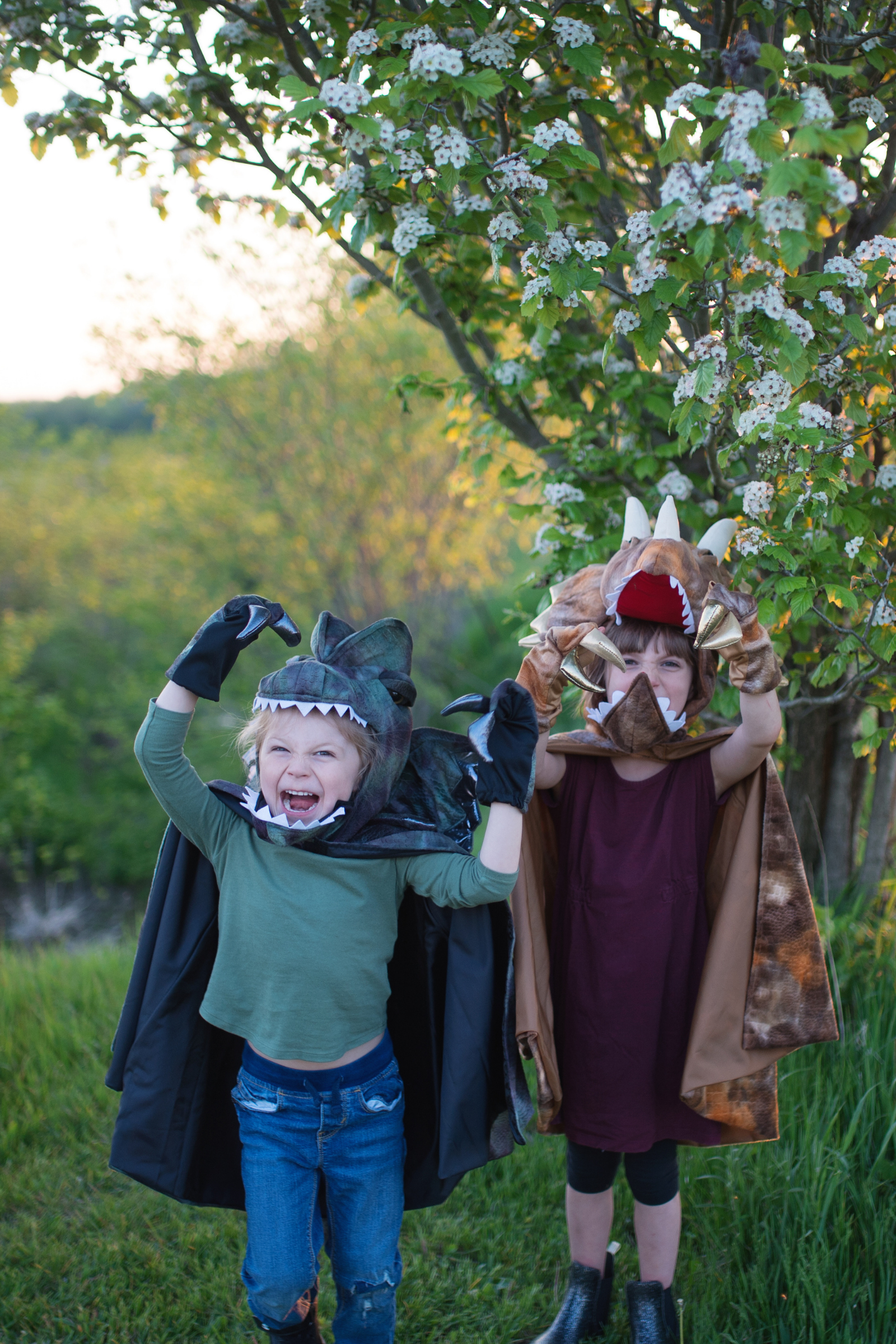 Grandasuarus Dilophosaurus Cape with Claws