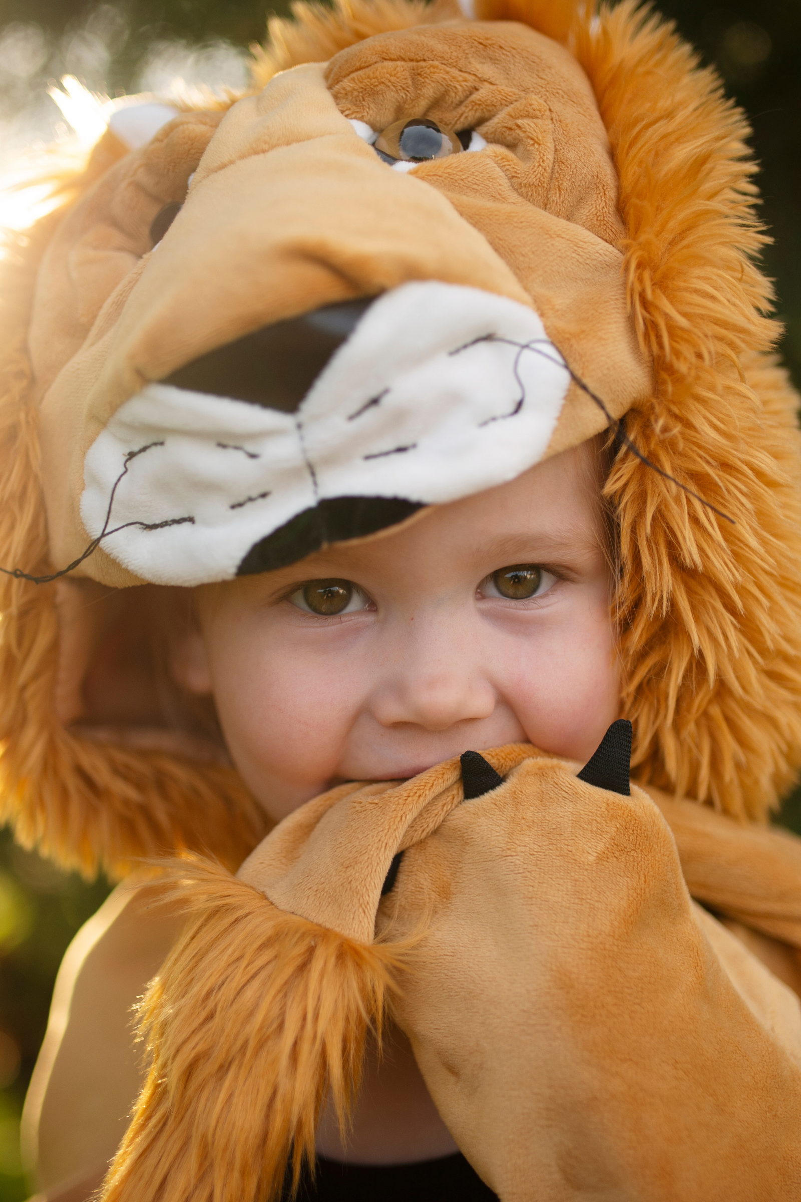 Baby/Toddler/ Woodland Storybook Lion Cape