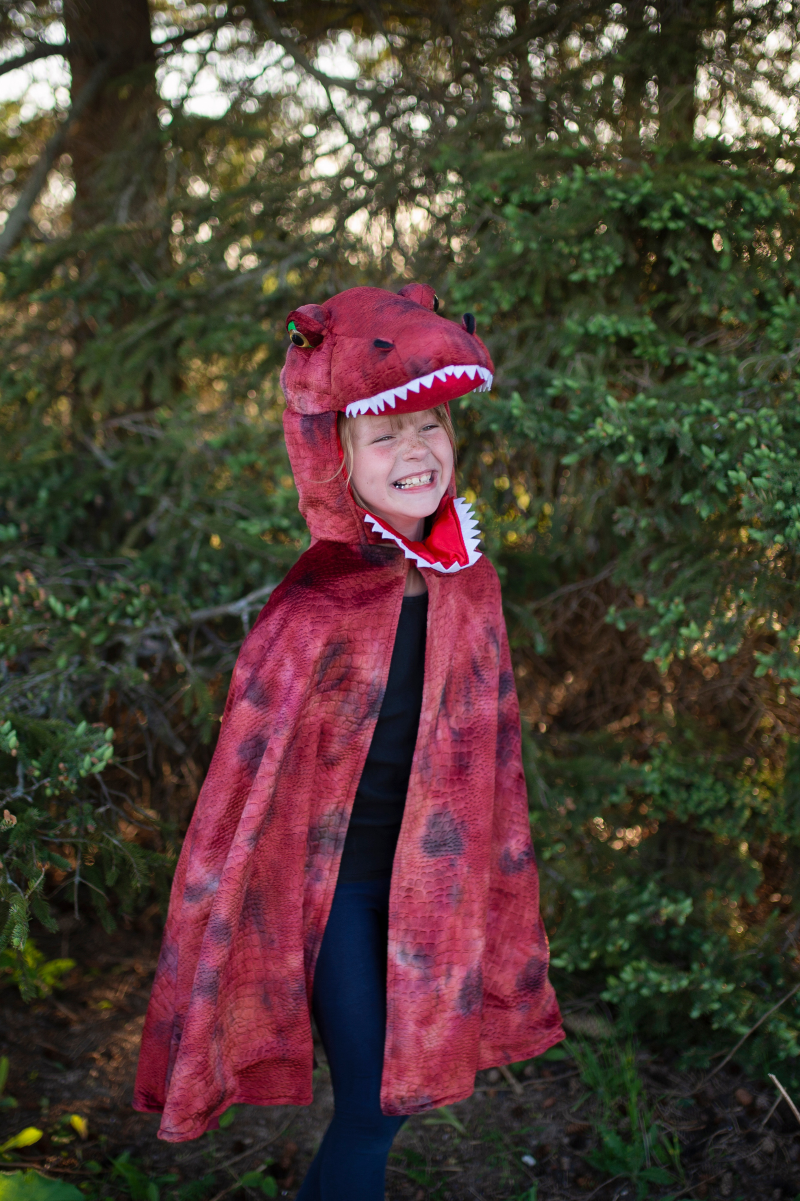 Grandasaurus T-Rex Cape with Claws