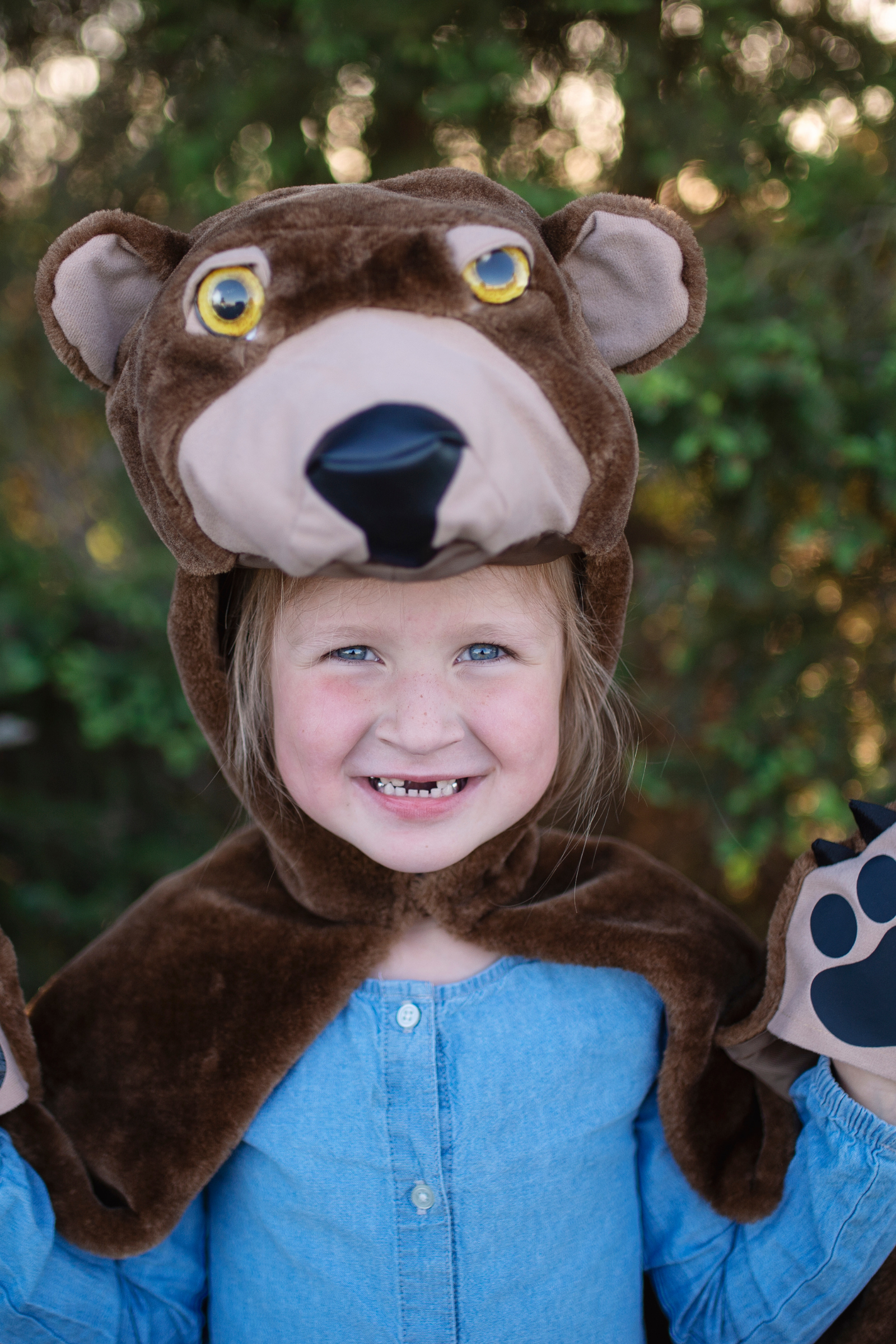 Toddler/ Woodland Storybook Bear Cape