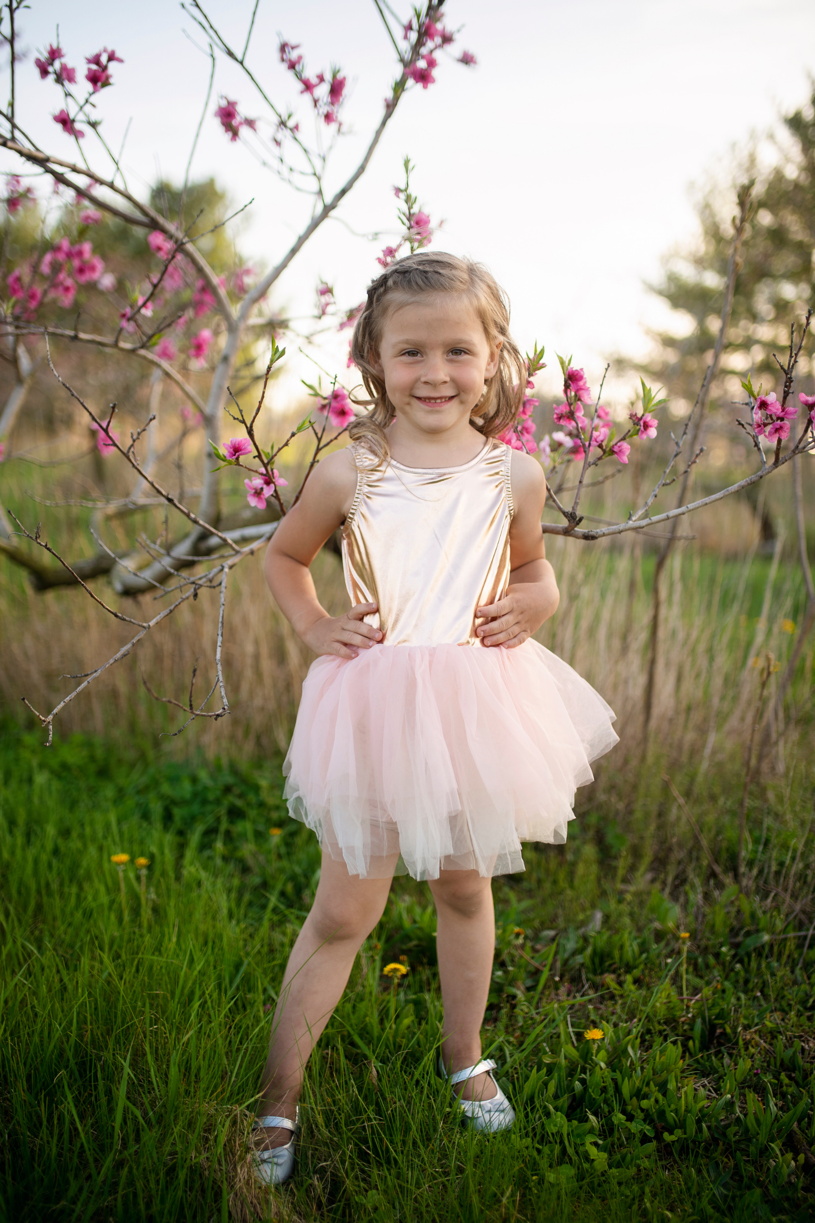 Ballet Tutu Dress, Rose Gold