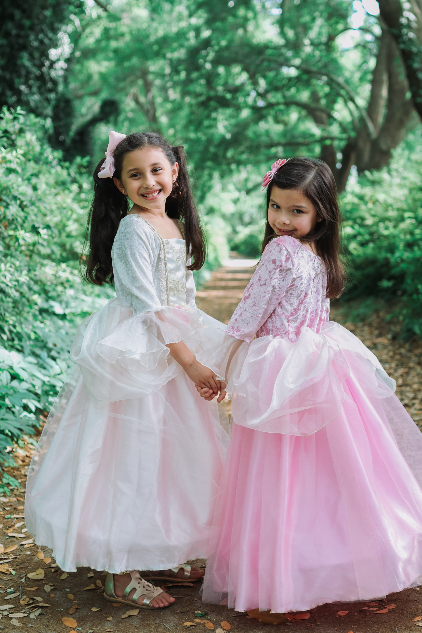 Rose Princess Dress