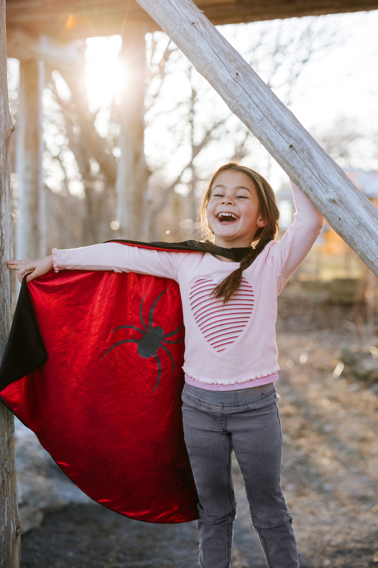 Reversible Spider and Bat Streamline Cape