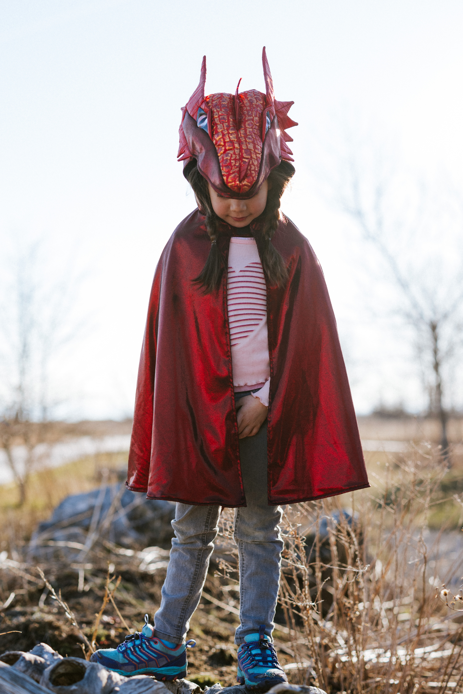 Metallic Drache Rubin