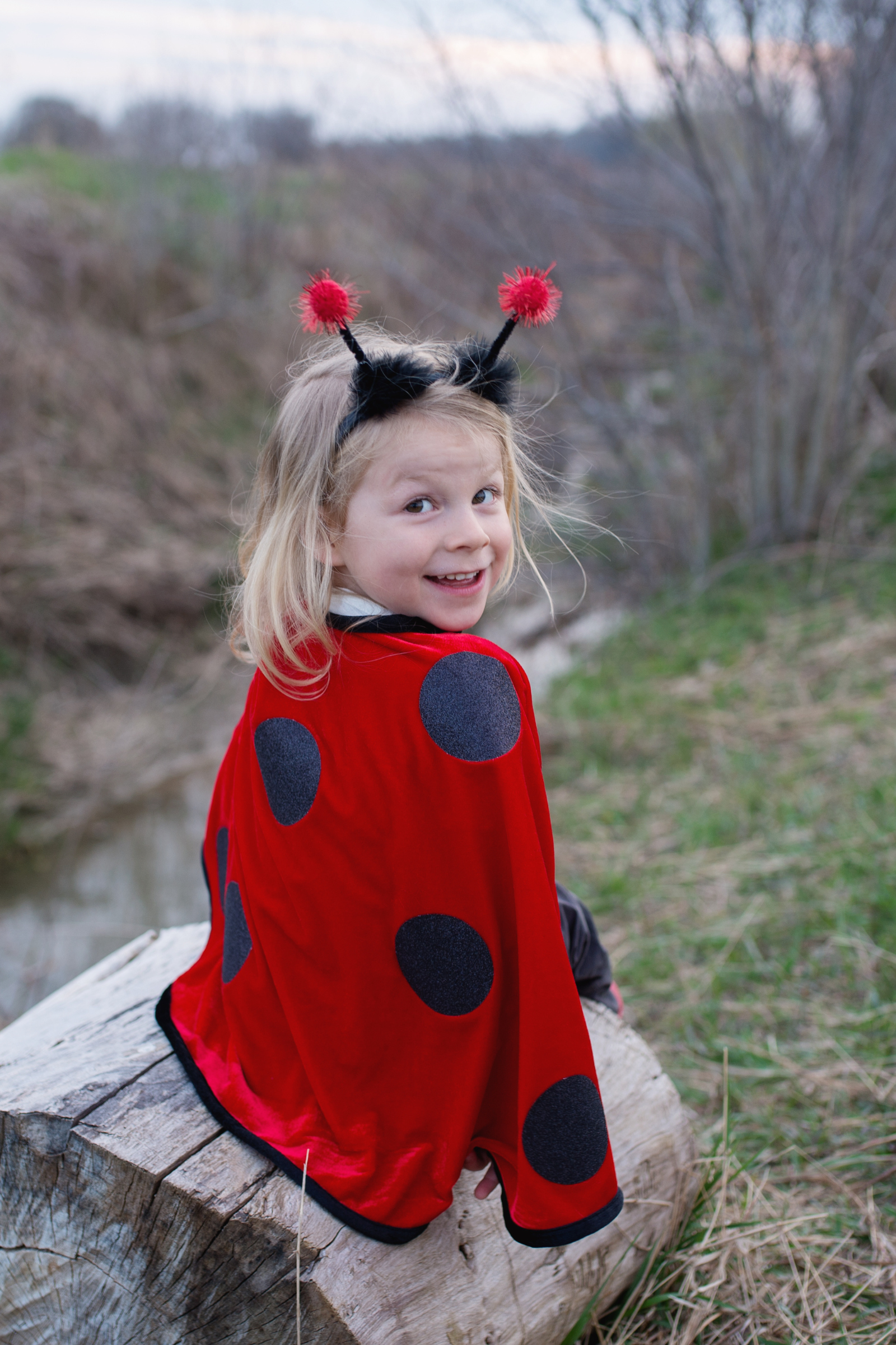 Toddler Little Ladybug Cape