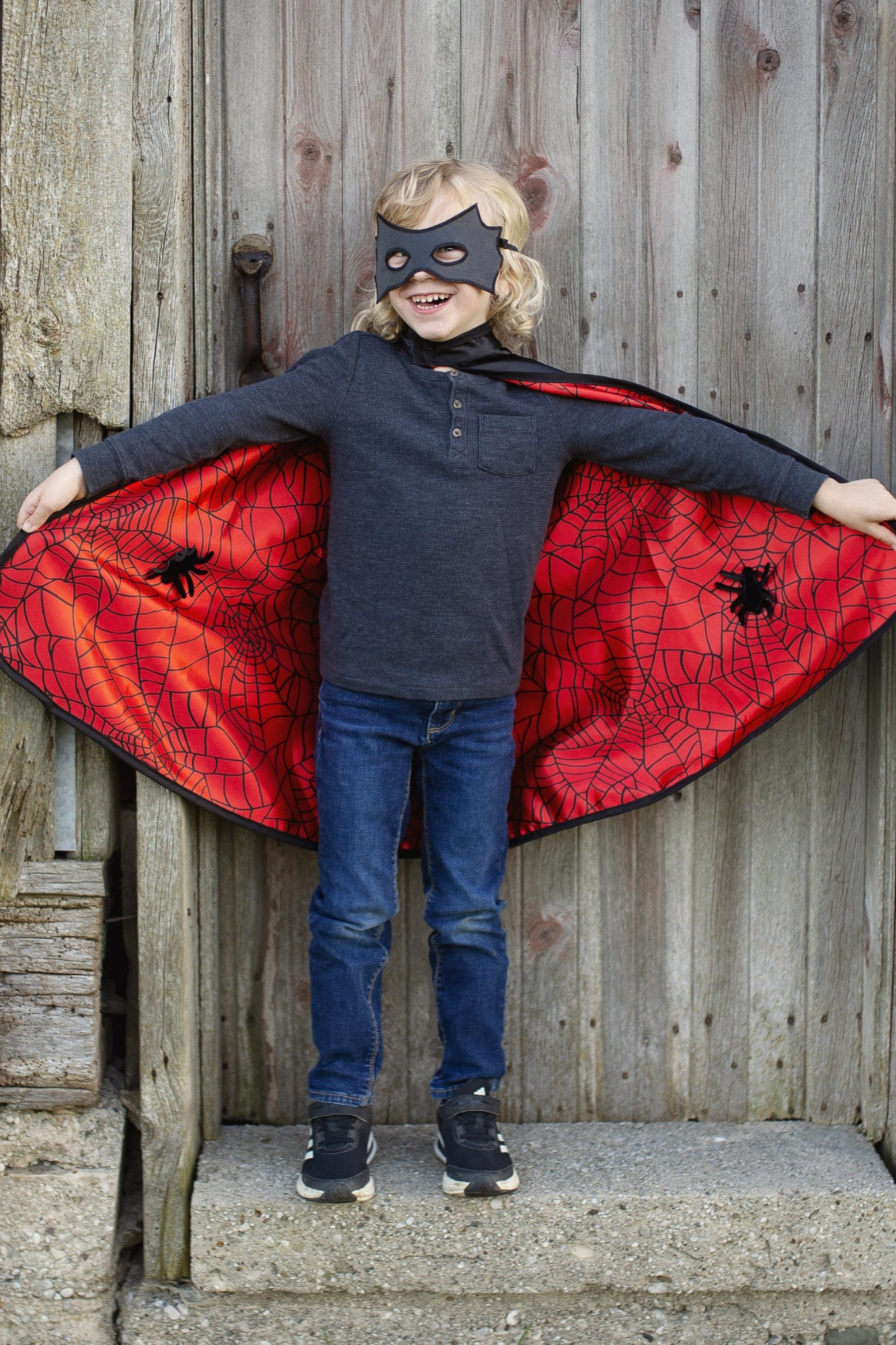 Reversible Spider and Bat Cape with Mask