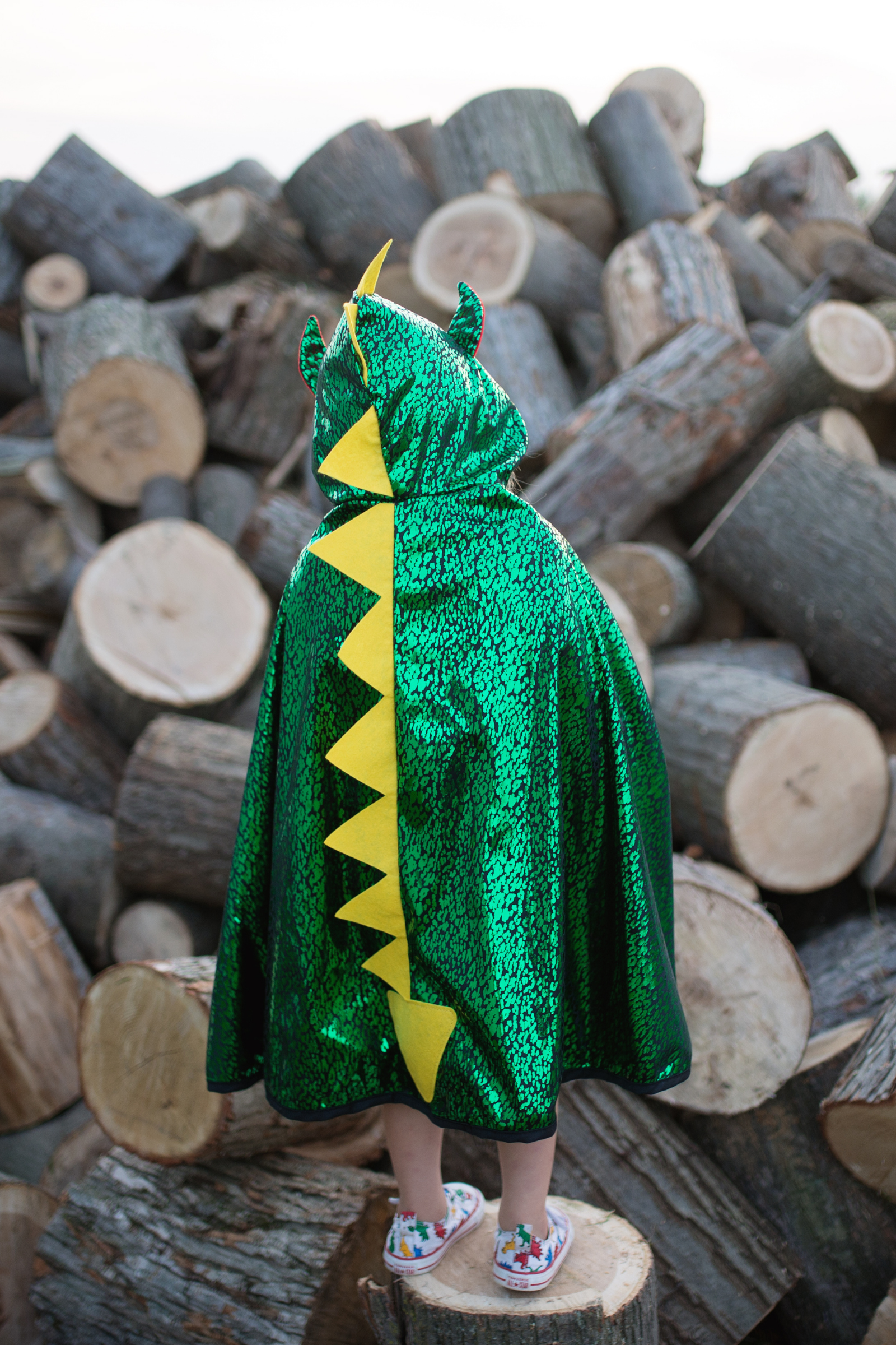 Reversible Dragon and Knight Cape