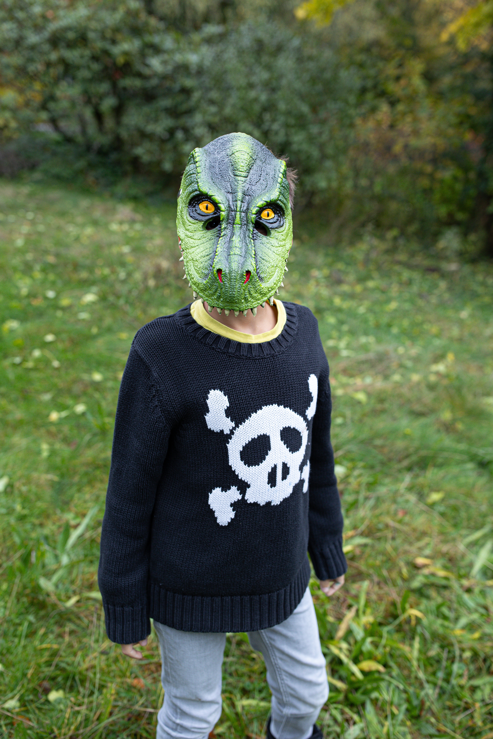 T-Rex Dino Mask, Green