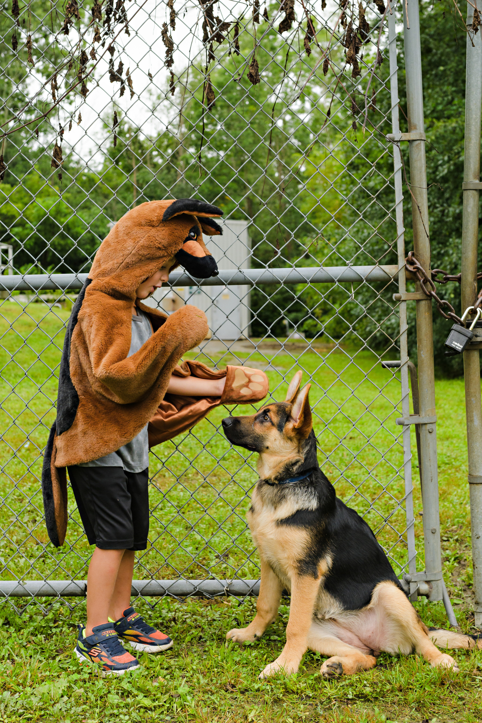 Toddler/ German Shepherd Dog Cuddle Cape