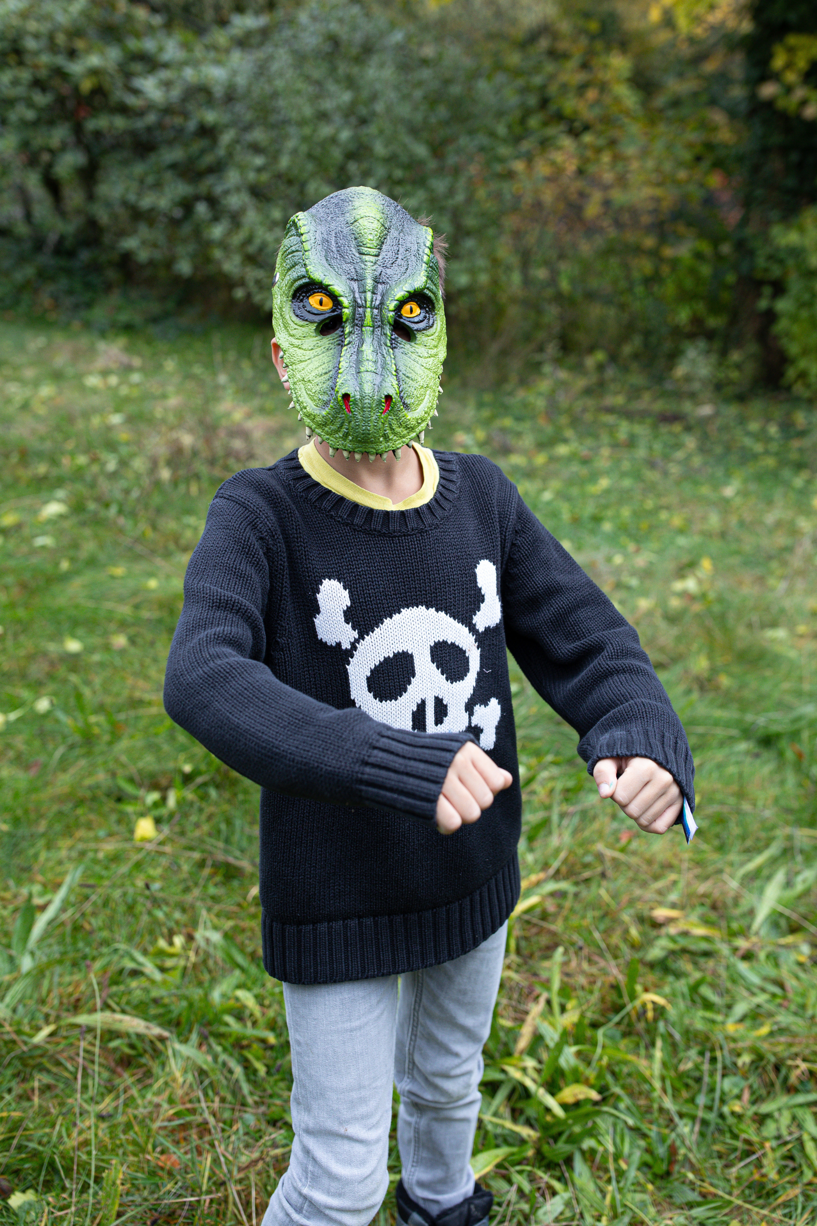T-Rex Dino Mask, Green