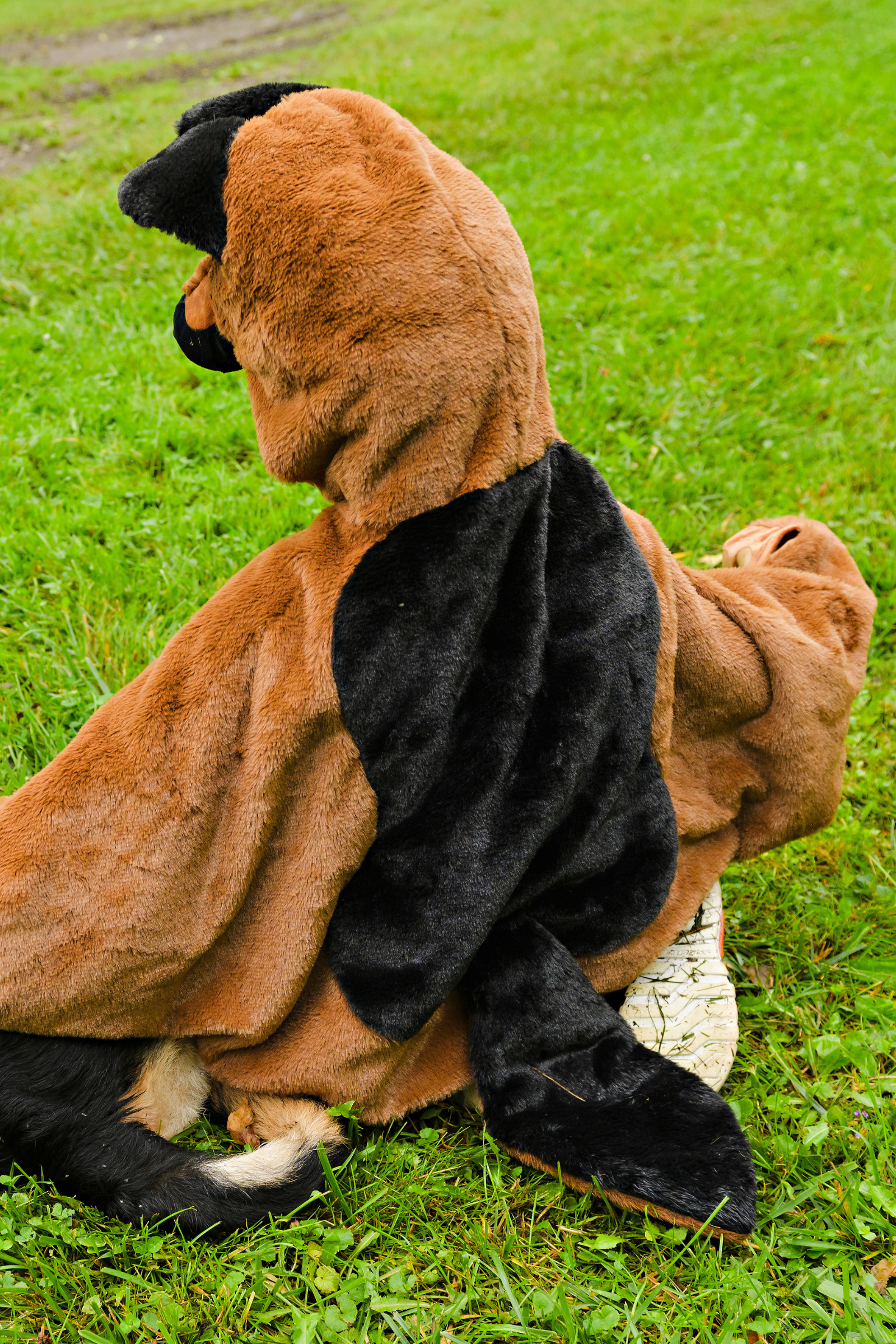 Toddler/ German Shepherd Dog Cuddle Cape
