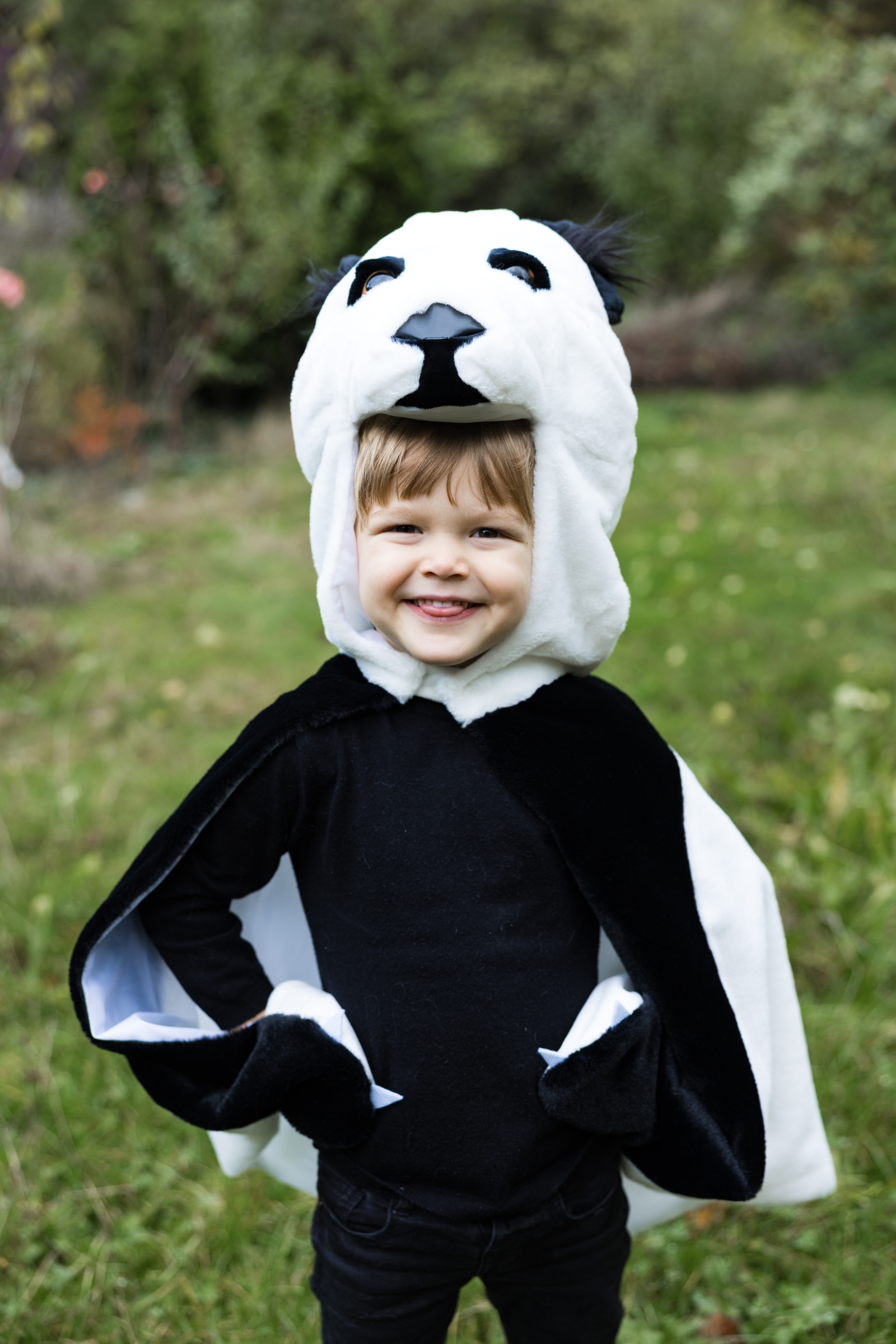 Baby/Toddler/ Panda Cuddle Cape