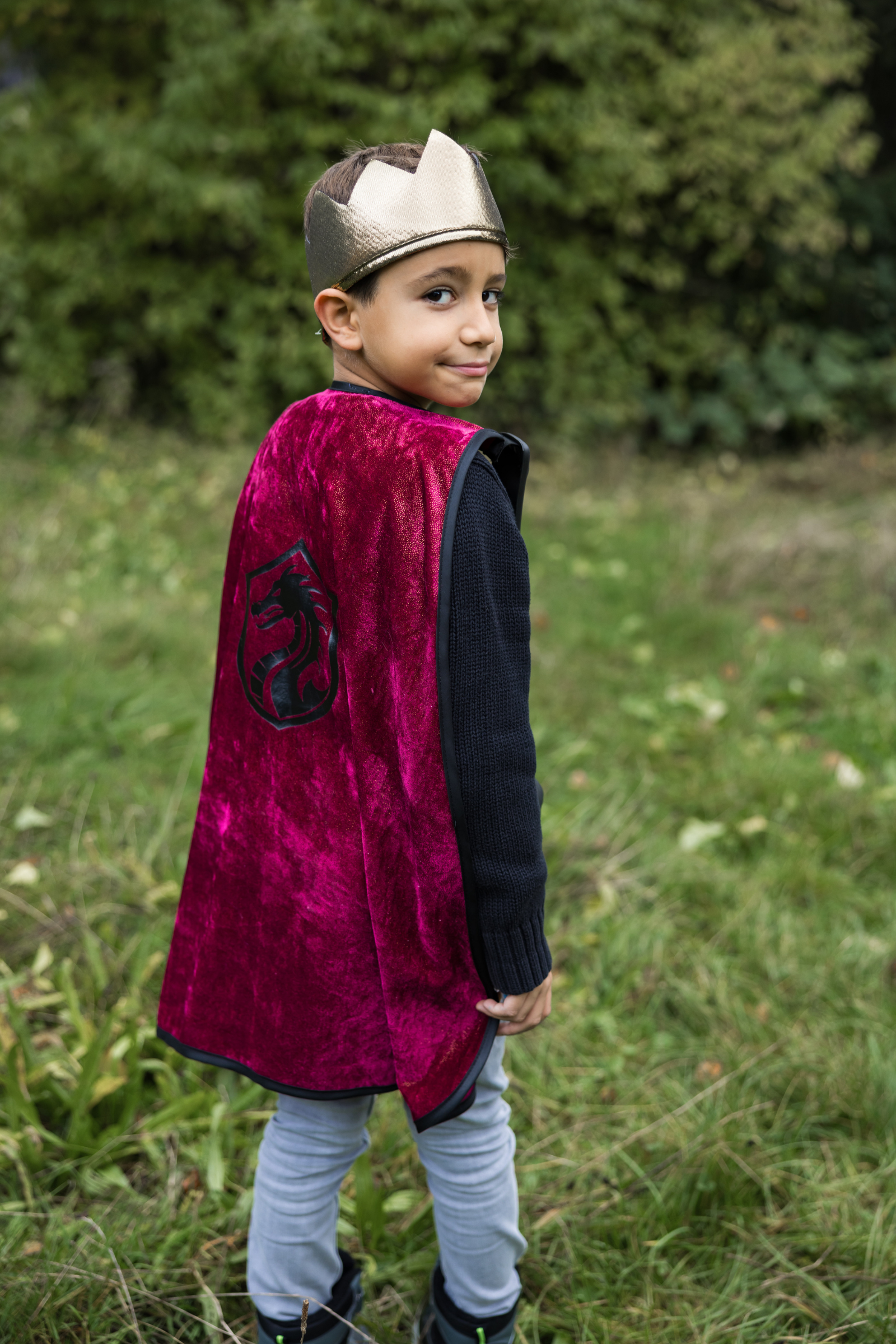 Legendary Knight Chest Plate Cape with Crown