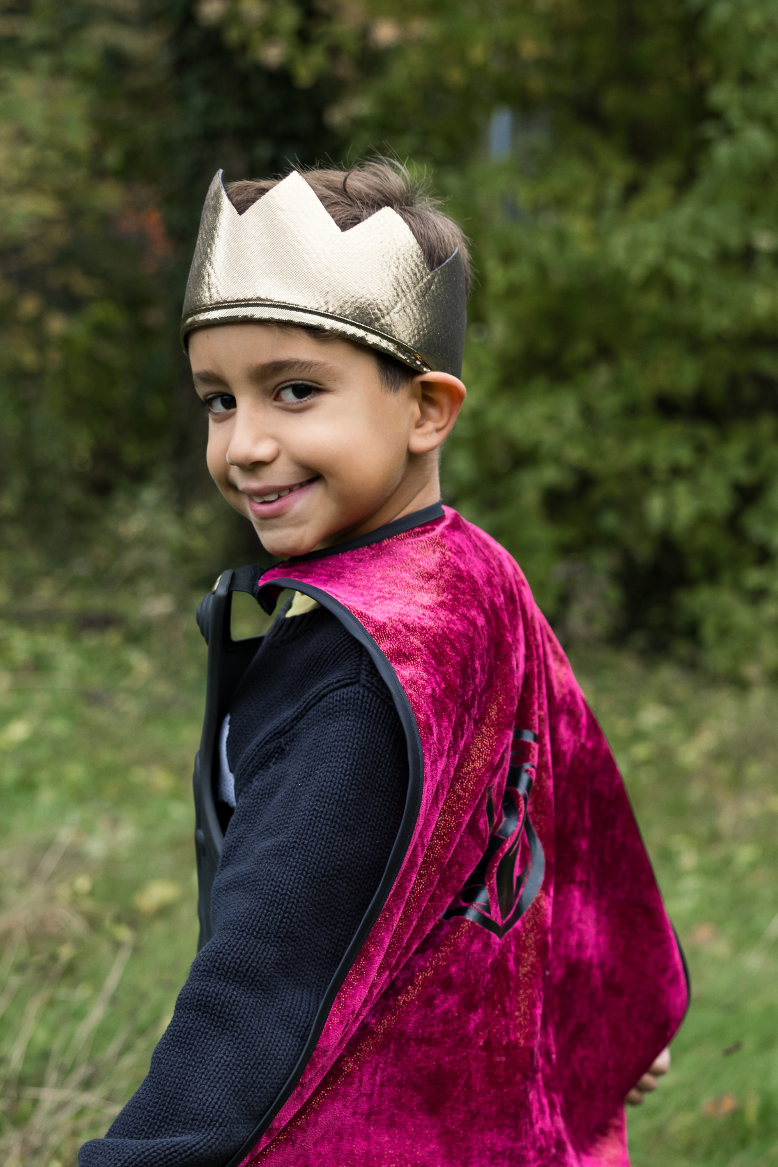 Legendary Knight Chest Plate Cape with Crown