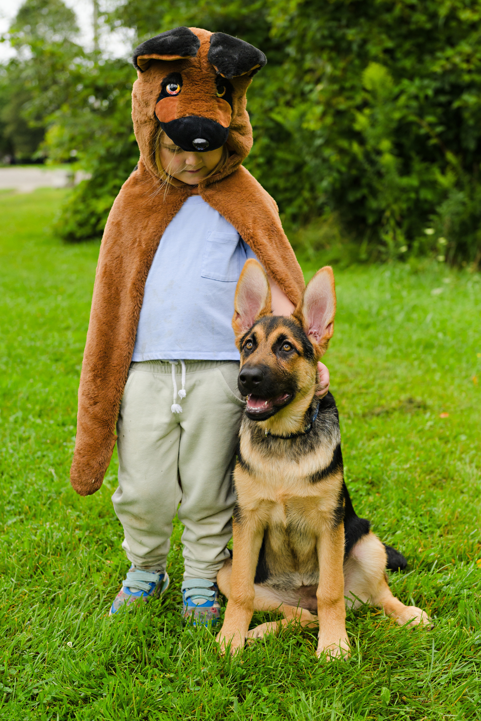 Toddler/ German Shepherd Dog Cuddle Cape