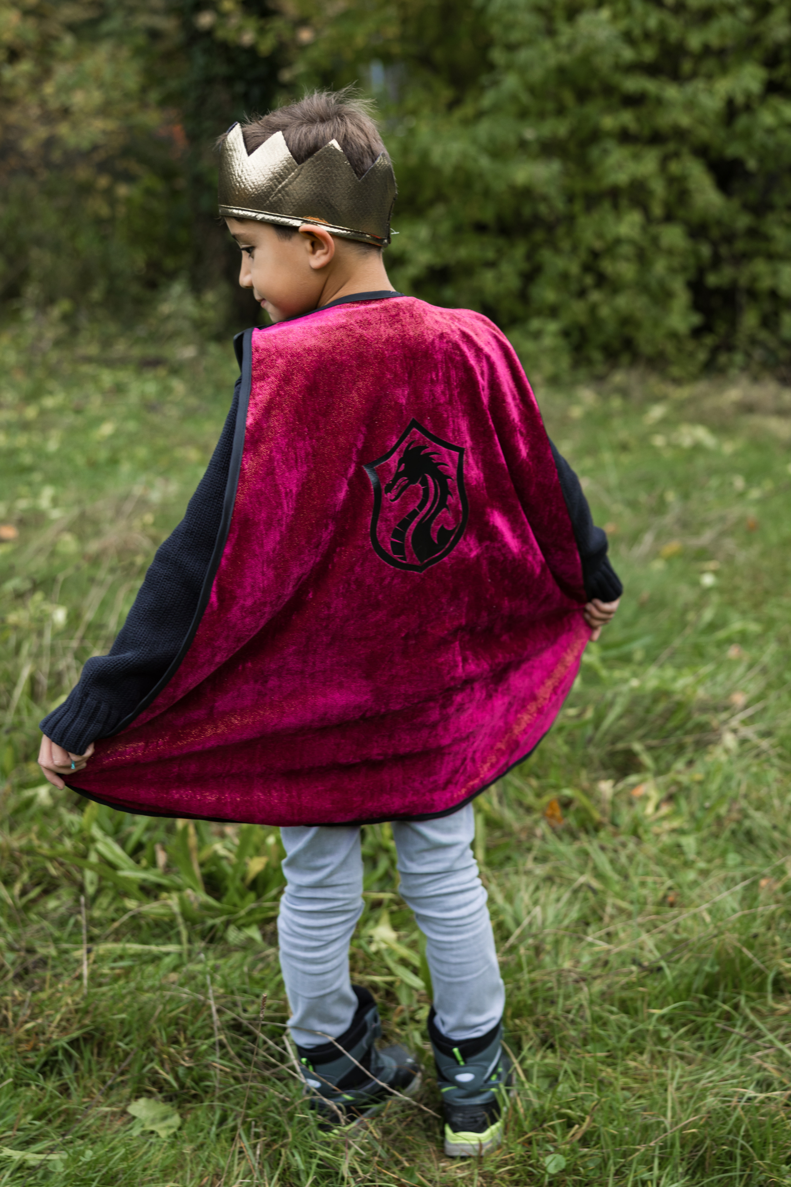 Legendary Knight Chest Plate Cape with Crown