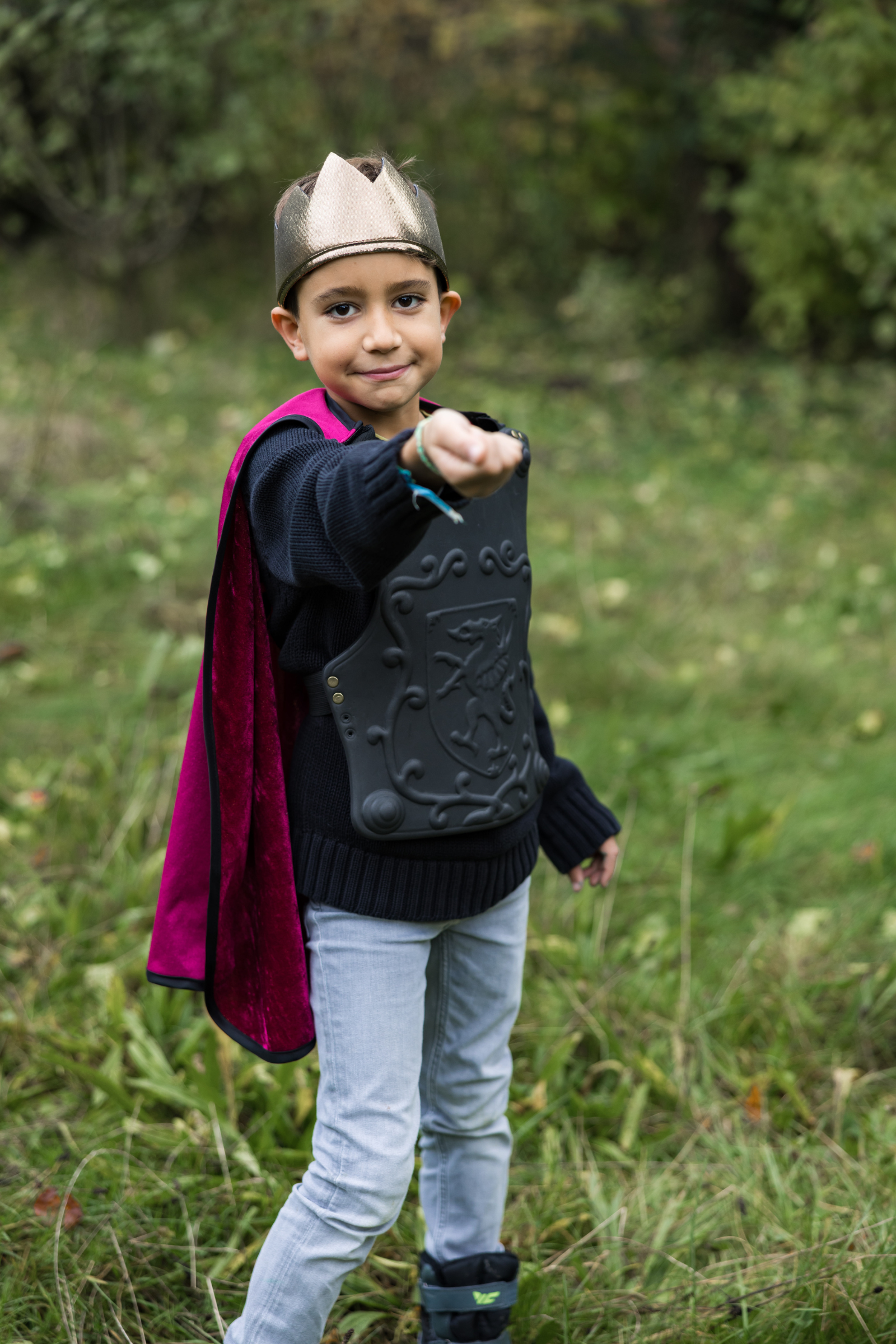 Legendary Knight Chest Plate Cape with Crown