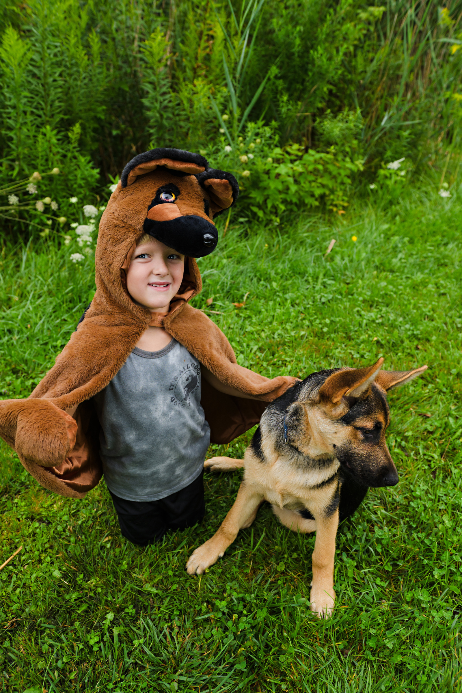 Toddler/ German Shepherd Dog Cuddle Cape
