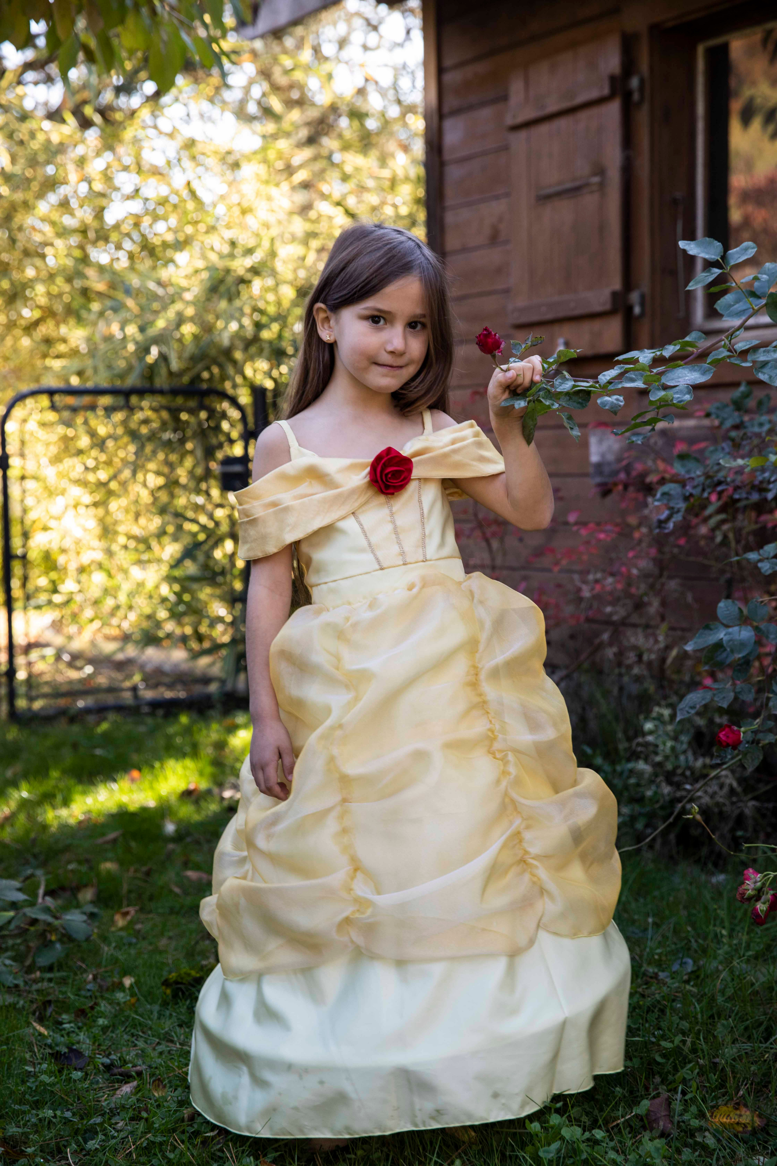 Boutique Belle Gown