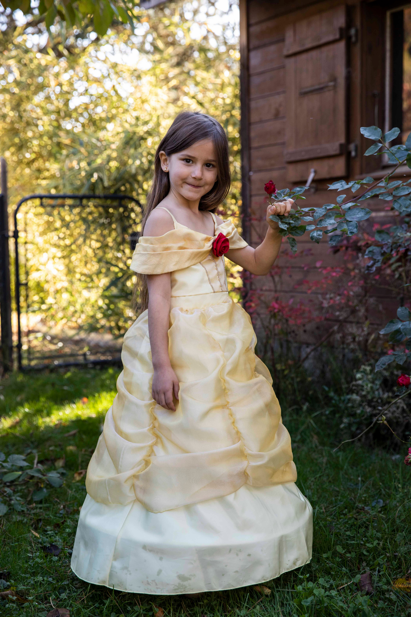 Boutique Belle Gown