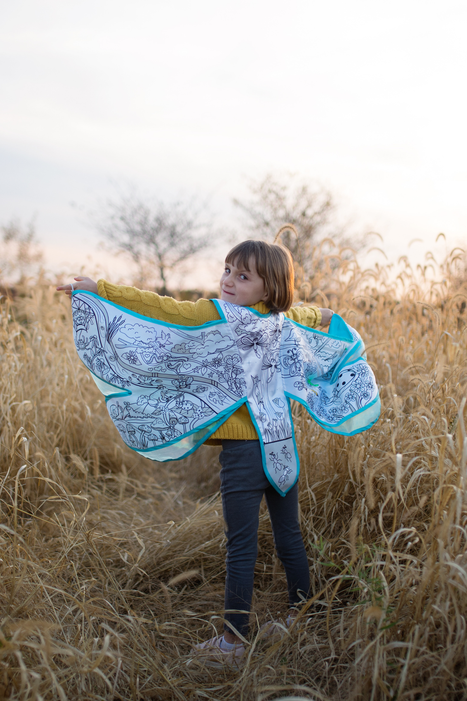 Colour-A-Dragon Fly Wings Cape