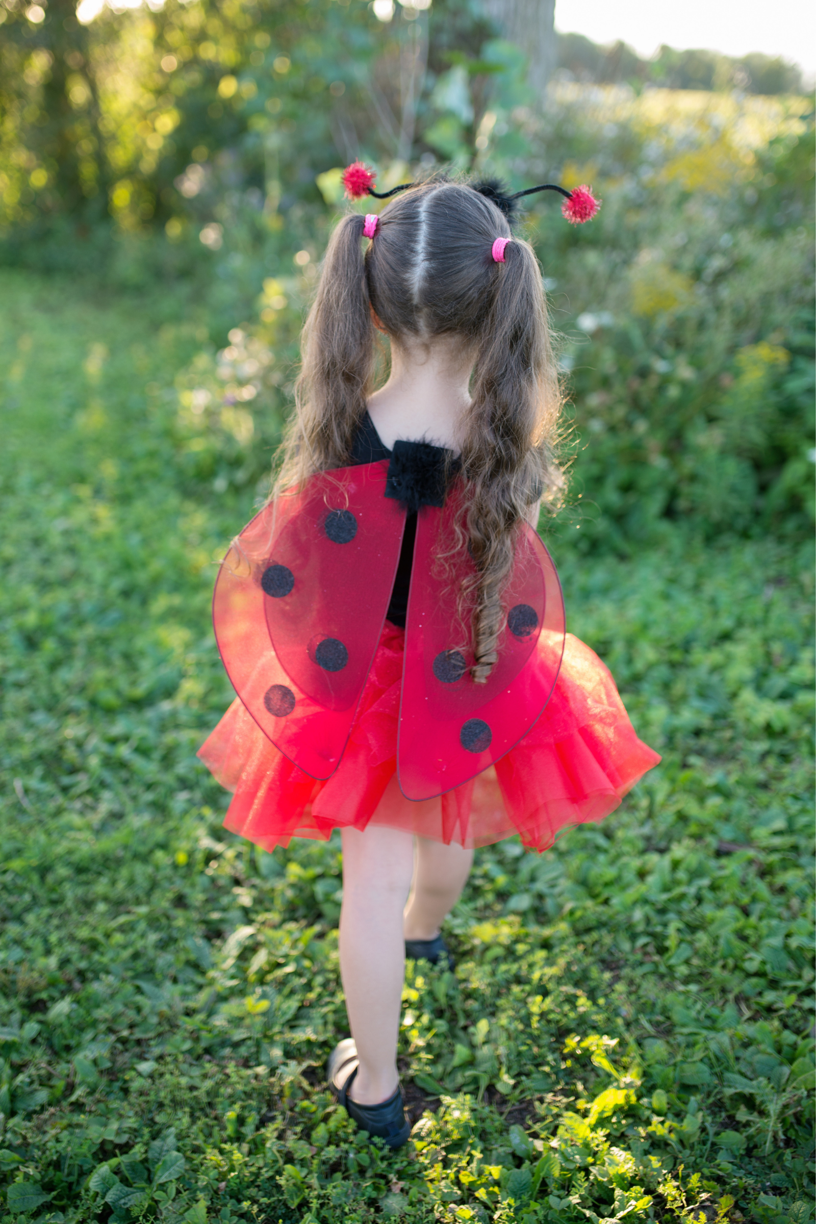 Glitter Lady Bug Set