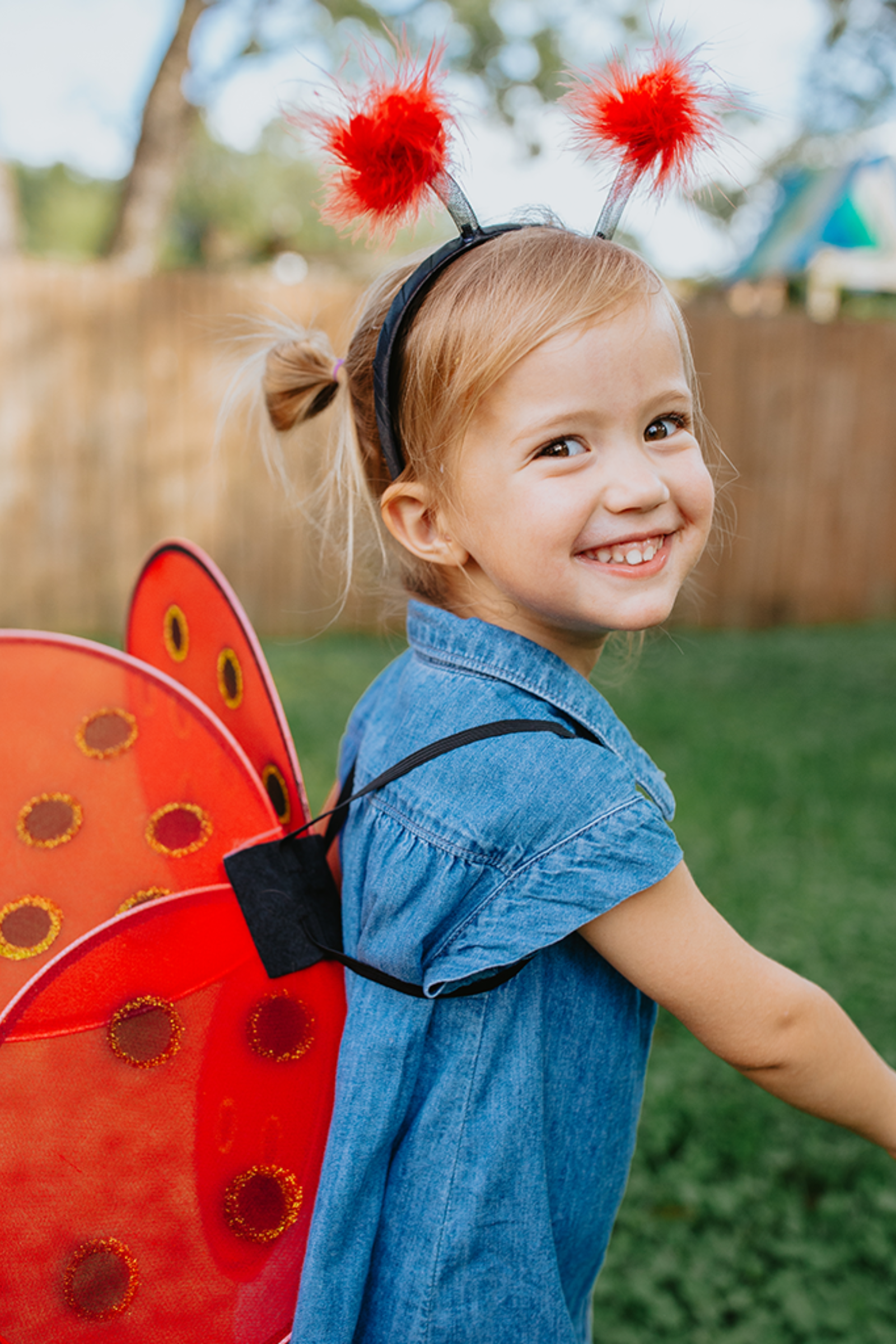 Lady Bug Wings & Headband