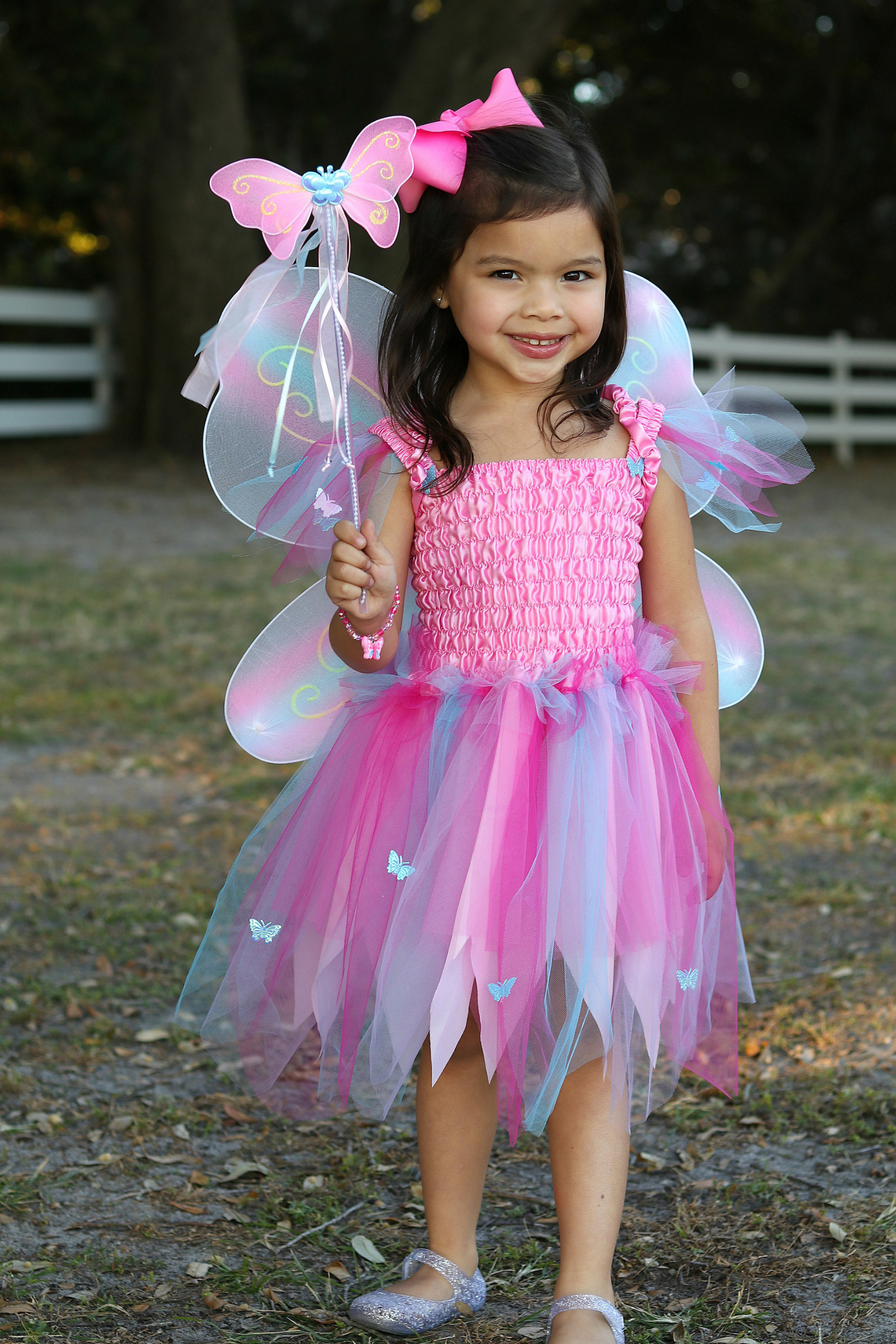 Butterfly Dress with Wings & Wand