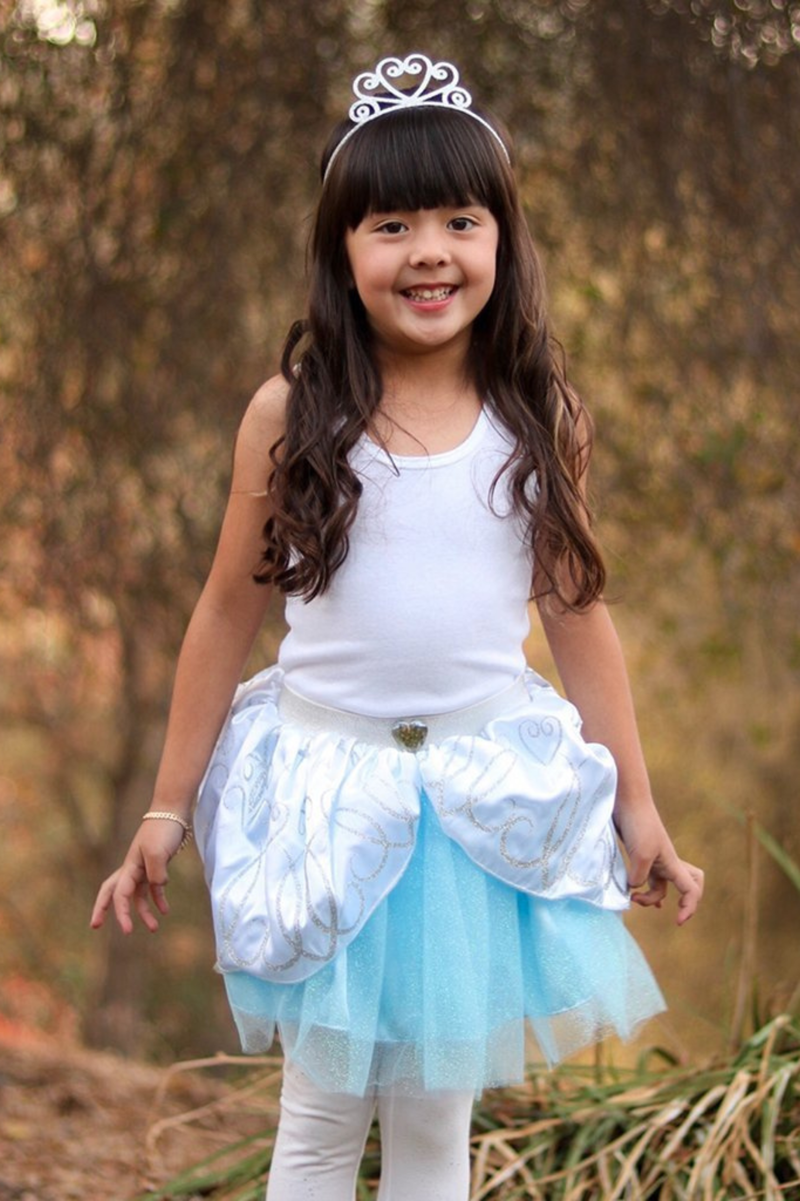 Cinderella Skirt with Tiara